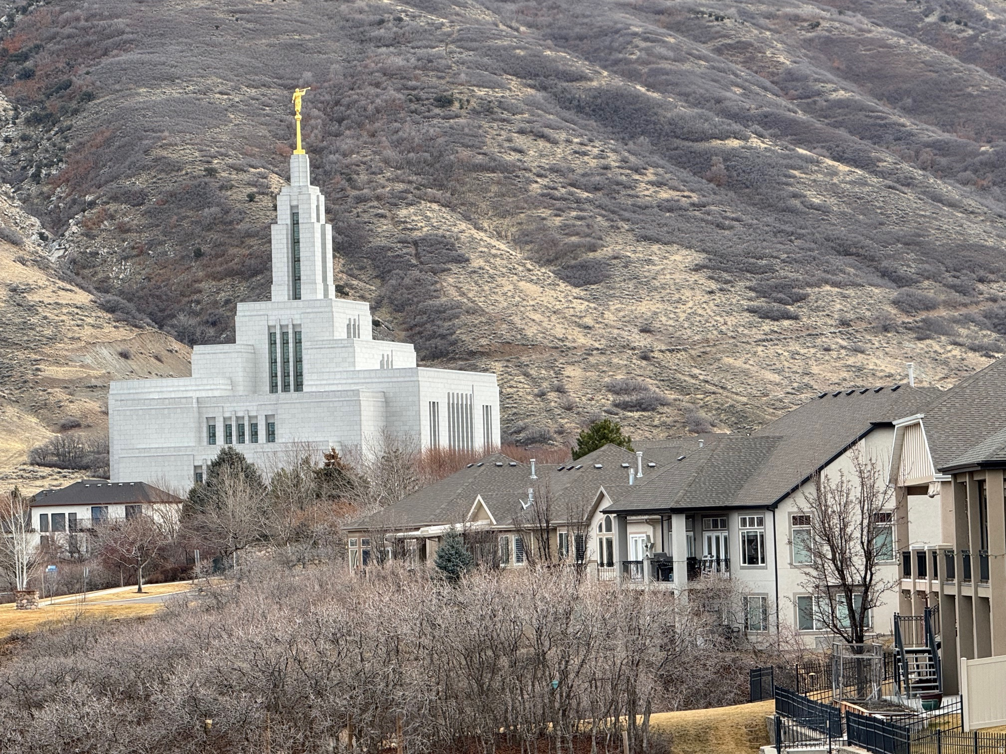 VILLAGE ON THE GREEN - Residential