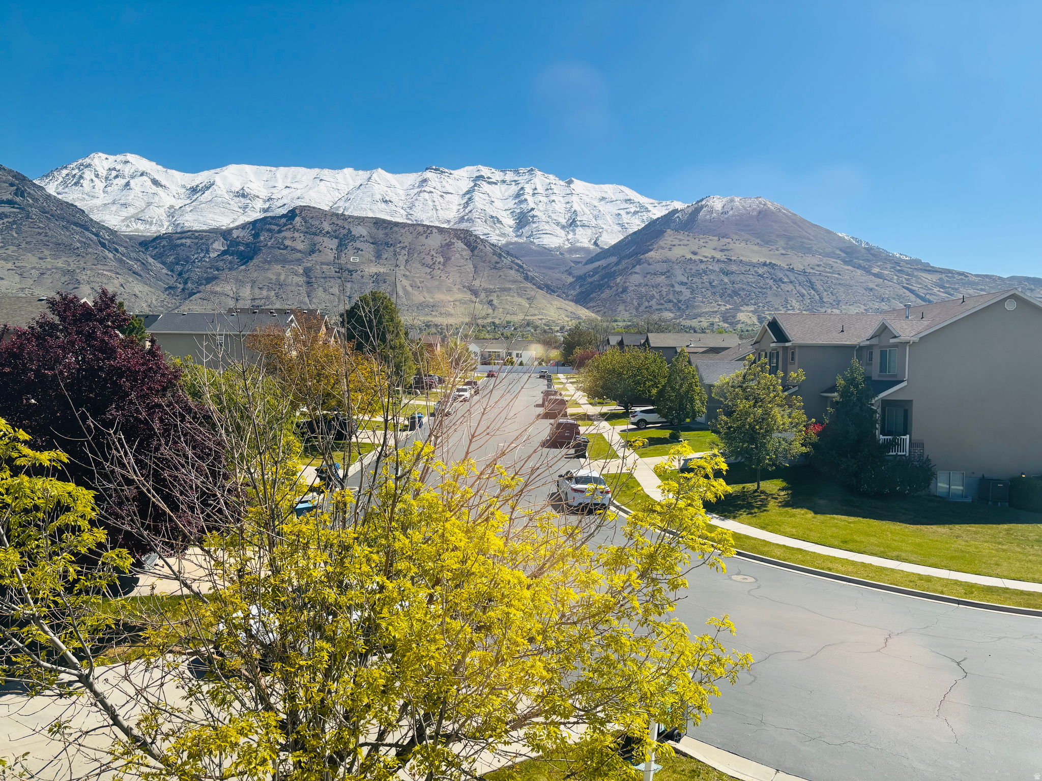 APPLE GROVE - Residential