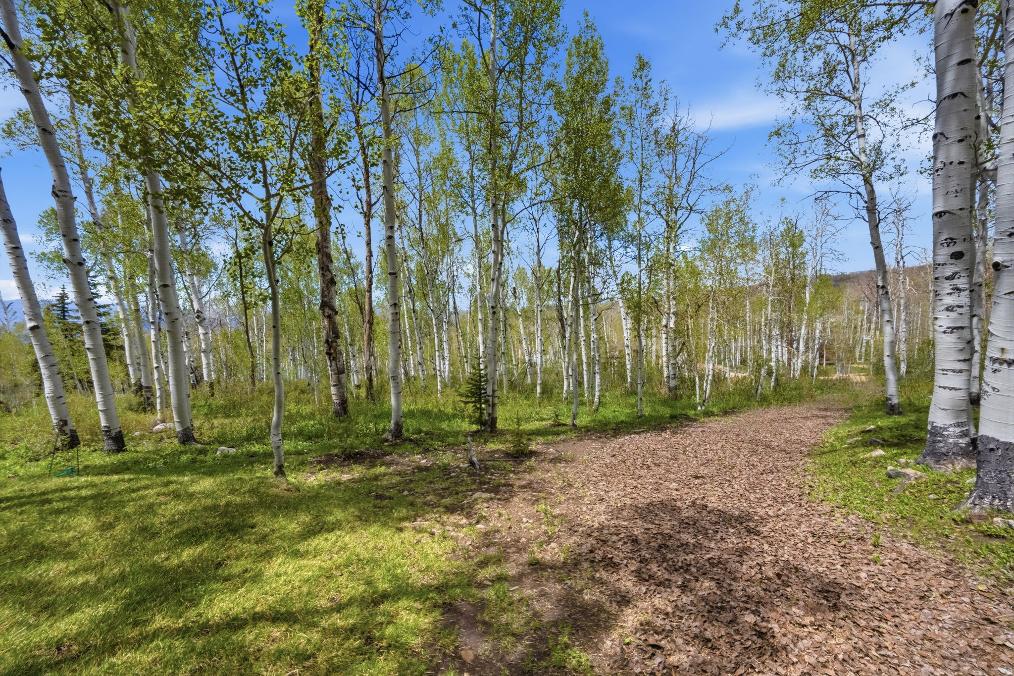 TIMBER LAKES - Residential