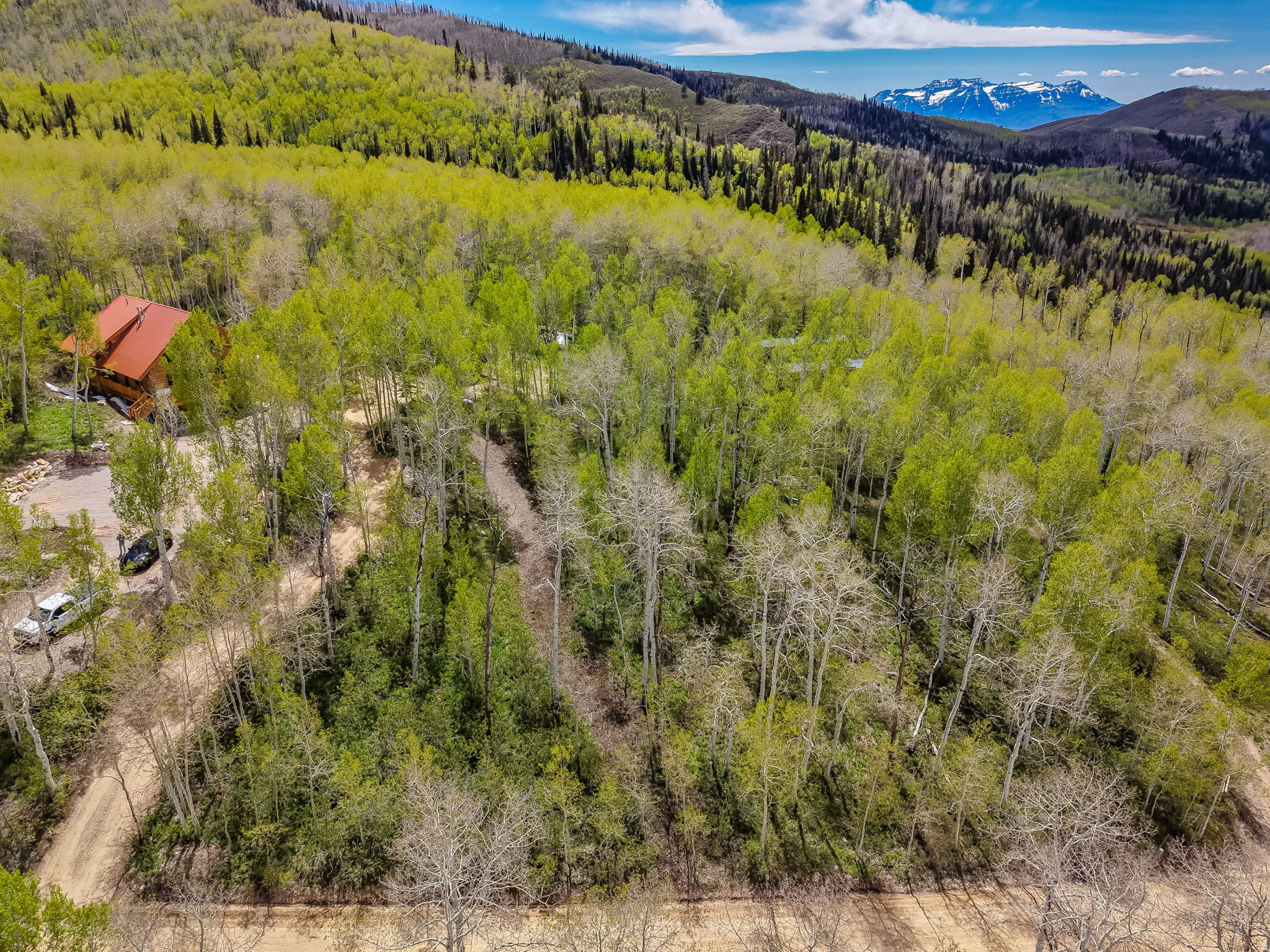 TIMBER LAKES - Residential