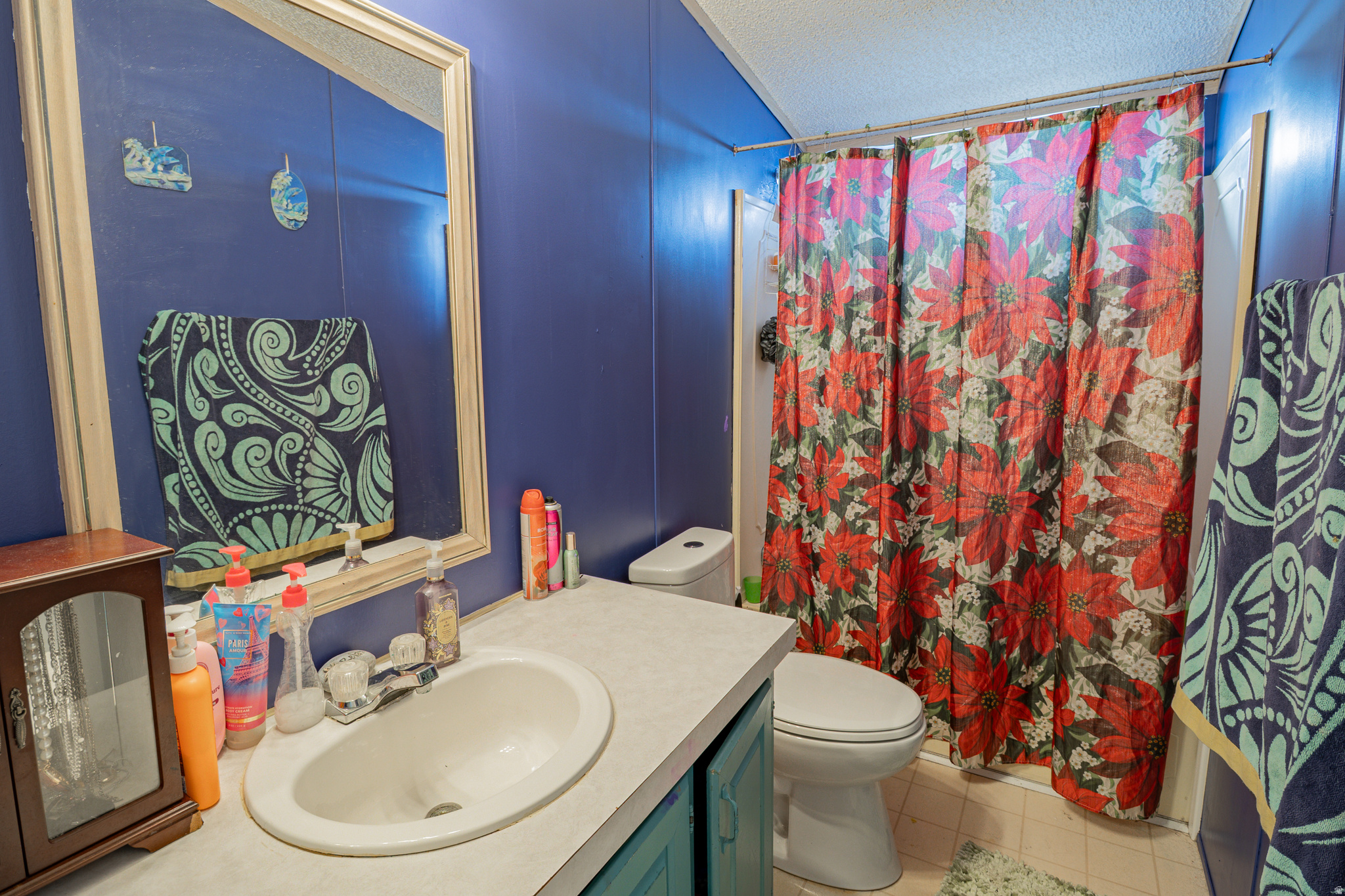 MOUNTAIN VIEW - Residential