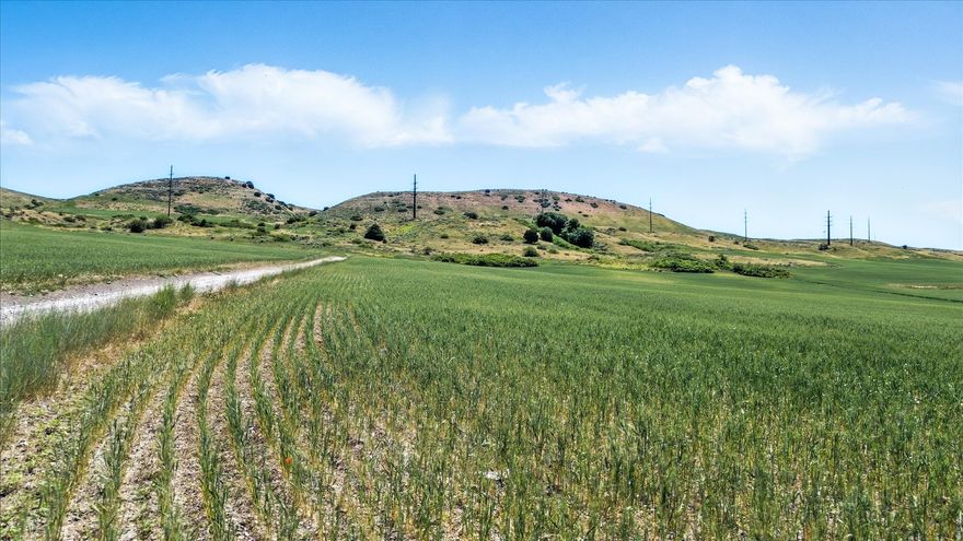 Expansive 262-acre property offering a strong blend of productive farmland and peaceful country living in Beaver Dam, Utah. Currently utilized for dry farming and planted in wheat, this property provides immediate agricultural use along with long-term versatility. The land features a mix of flat, usable acreage and gently rolling terrain, well-suited for continued dry crop production, livestock use, or establishing a full farm or ranch operation. Conveniently located just 15 minutes from the Cache Valley/Logan area, it offers rural seclusion with easy access to nearby markets and amenities. Two established 60-foot-wide access points allow for easy year-round access and add flexibility for future use, including the potential to subdivide (buyer to verify). Mature trees and scenic mountain views enhance the setting, making it equally appealing for a homesite or agricultural expansion. 4 Water Rights Included: 29-4783, 29-4798, 29-2707, 29-1939 (4 EDU - Dwelling | 65 ELU - Livestock). 1.87 Acres Irrigation (11.1 Acre Feet) with 5 points of diversion and spring. A rare opportunity to own large-acreage ground with current income potential, water resources, and room to grow-ideal for farmers, ranchers, or those seeking space and self-sufficiency.