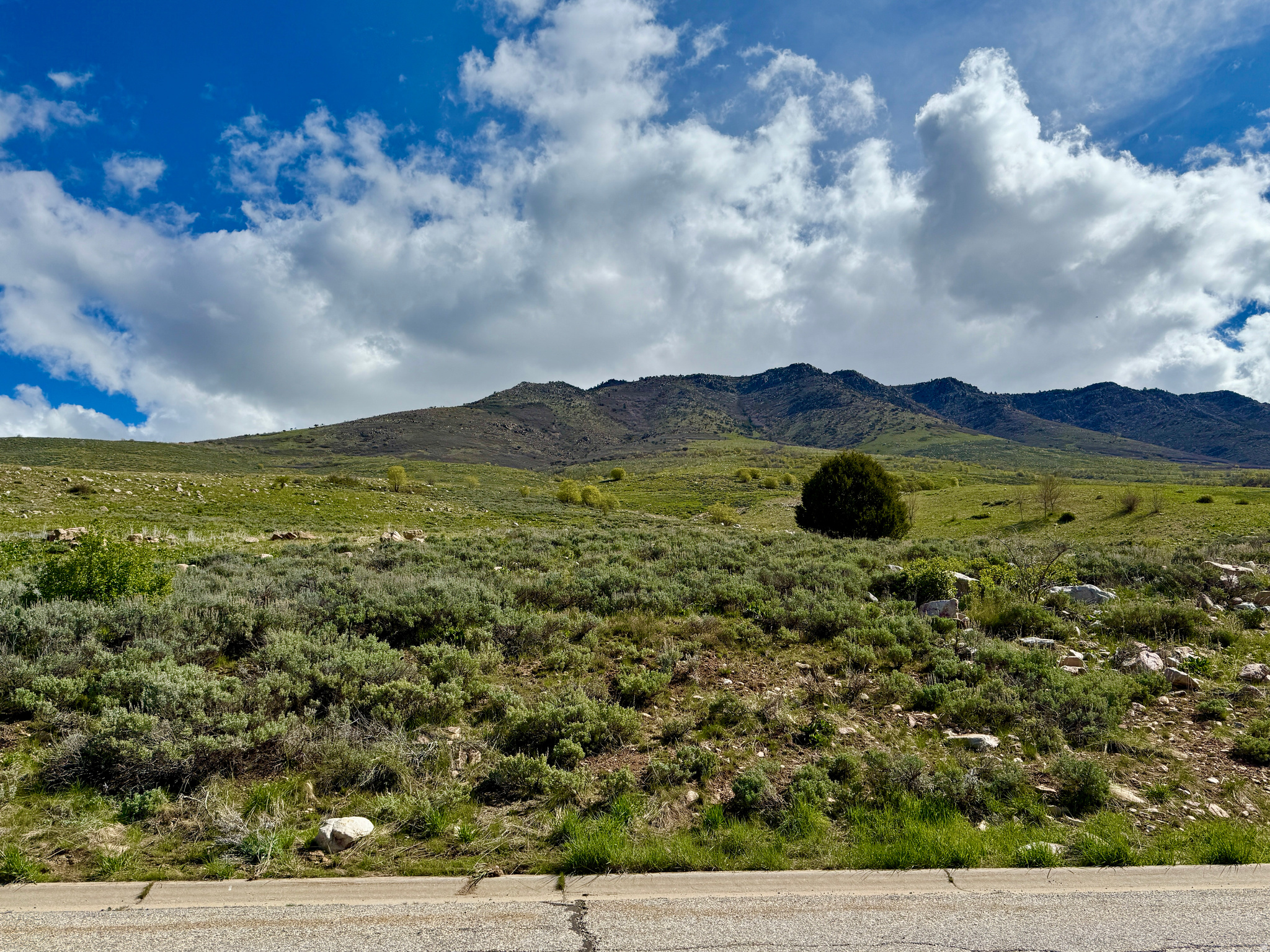 THE HIGHLANDS - Land