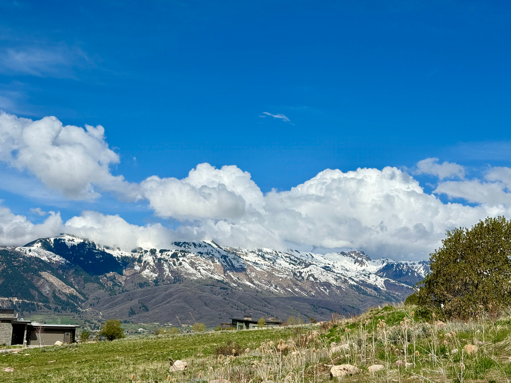 THE HIGHLANDS - Land