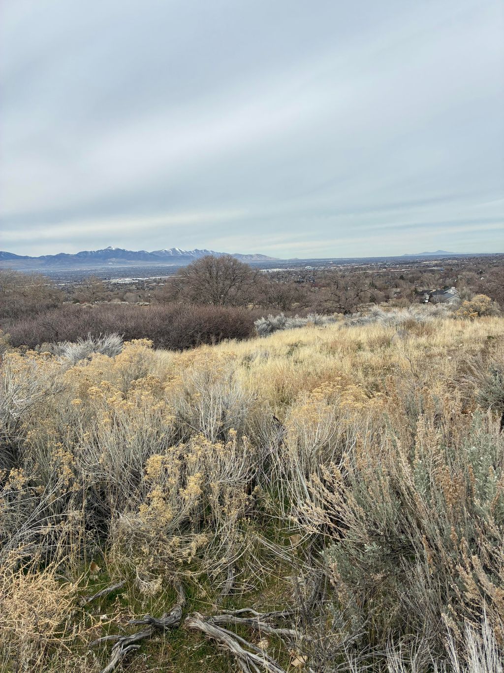 Photo of 13818 S VESTRY RD #59, Draper, UT 84020 (MLS # 2141741)