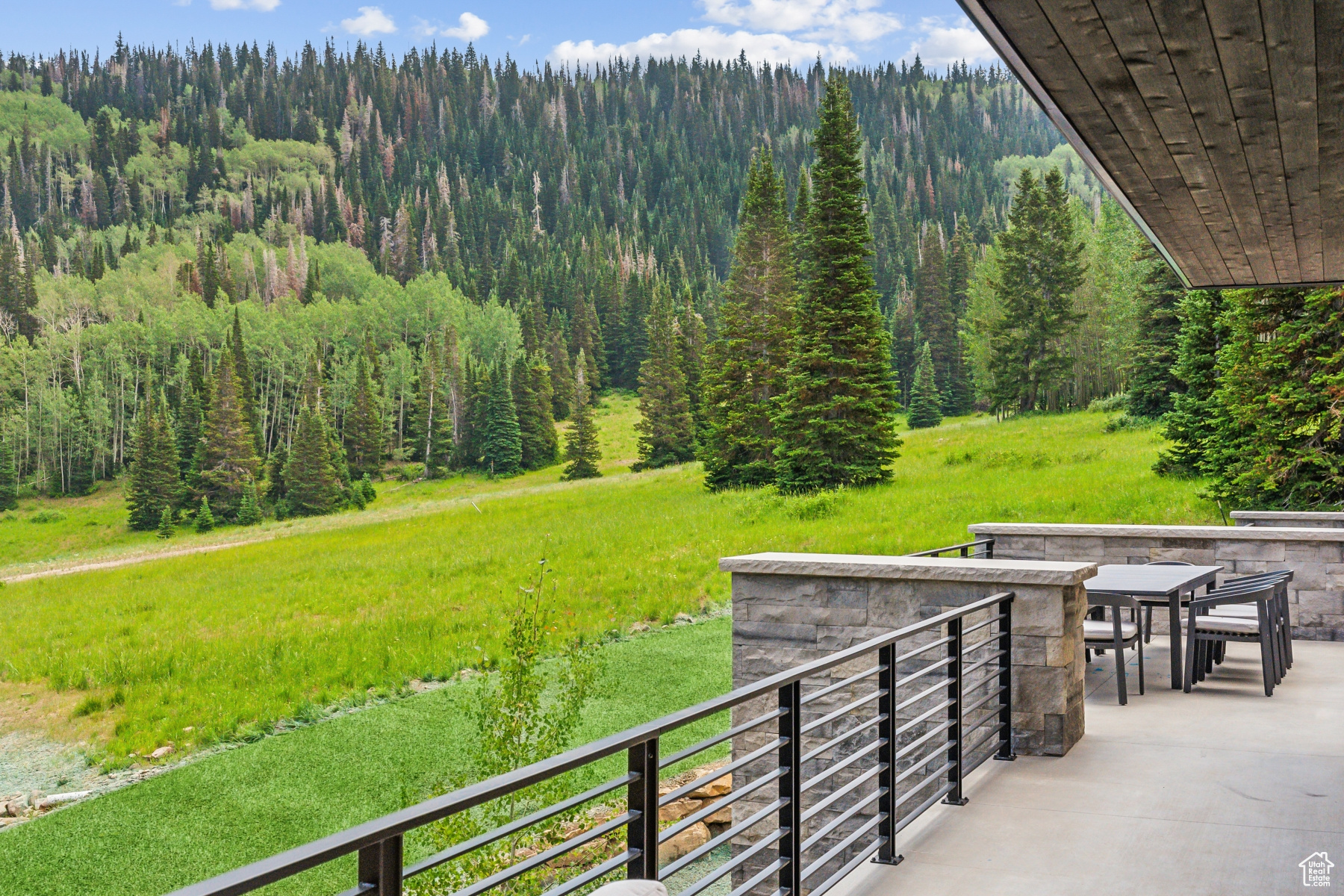 COLONY AT WHITE PINE CANYON - Residential