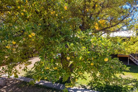 Tiny photo for 990 W 1100 S, Vernal, UT 84078 (MLS # 2116746)