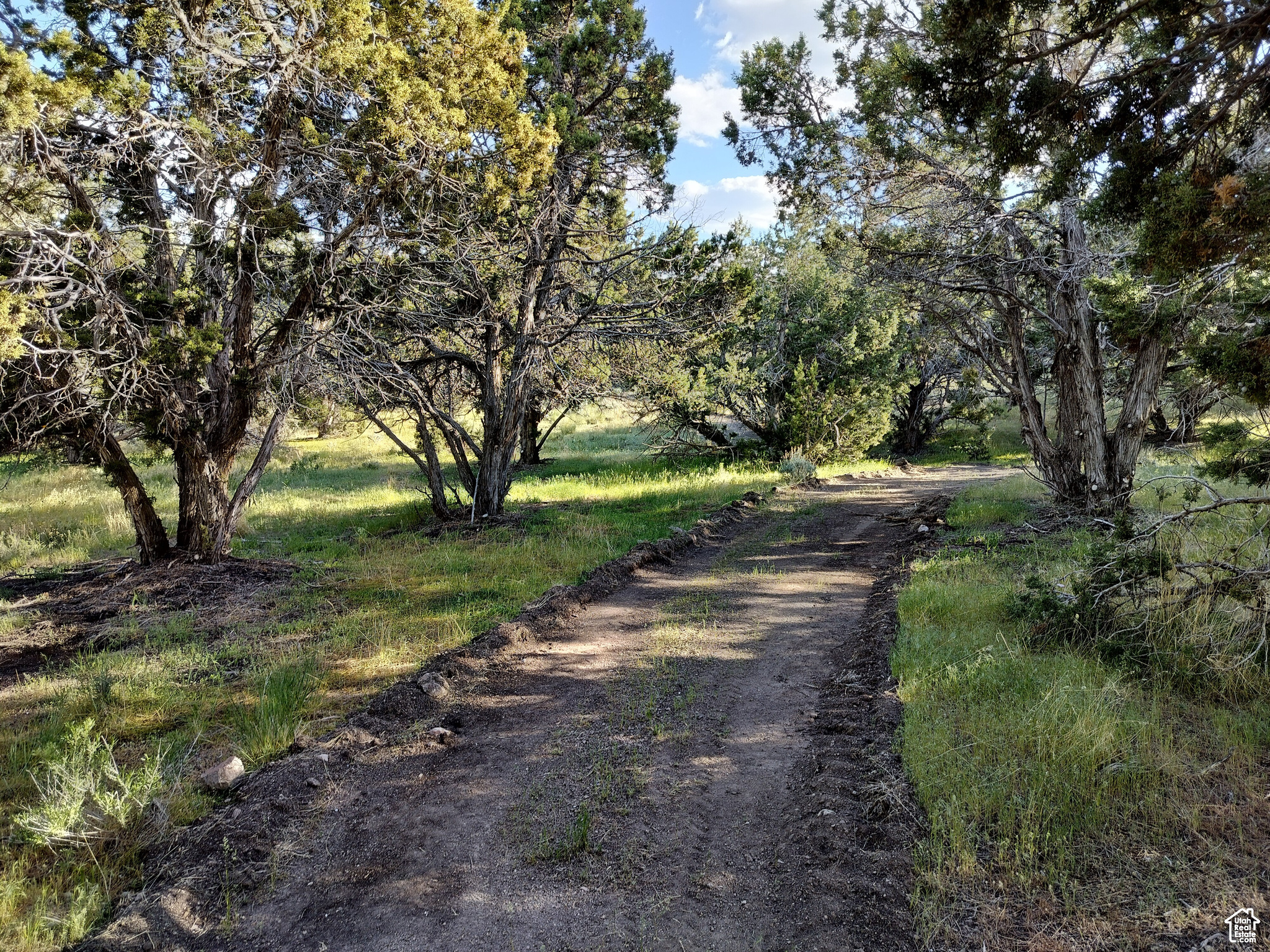 HI COUNTRY ESTATES II - Land