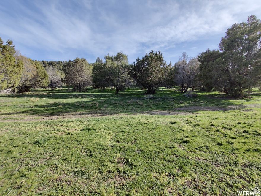 Unicorn 12 acre horse property in a secluded hidden valley..... in the Salt Lake Valley! Located in Rose Canyon/Herriman minutes from city conveniences, on a paved road close to the entrance of Rose Canyon. Exceptionally usable topography, with good soil depth and a variety of potential homesites, including with walk-out basements and SL Valley views! It's easy to forget you're in the Salt Lake Valley on this lot, but the city is minutes away.  Very private, with few surrounding neighbors. Quiet, blocked from city noises. Beautiful views of Shaggy Mountain and surrounding tree covered hills. Excellent investment potential with potential to subdivide in the future when HOA water infrastructure is improved. This lot is in an area scheduled to be annexed into Herriman City in 2027. Lot is on greenbelt, and annual property taxes are currently under 3 dollars/year. Deer love this lot due to its secluded, peaceful location with a mix of meadows and trees. Perimeter has T-posts at 20' intervals for livestock electric fencing and a legacy stock fence on the east side. Zoned for horses, cows, sheep, goats, and chickens (see public zoning for specific details). Buyer will need to do a single lot subdivision with SL County in order to build a home. Seller is a licensed real estate broker in the state of Utah.