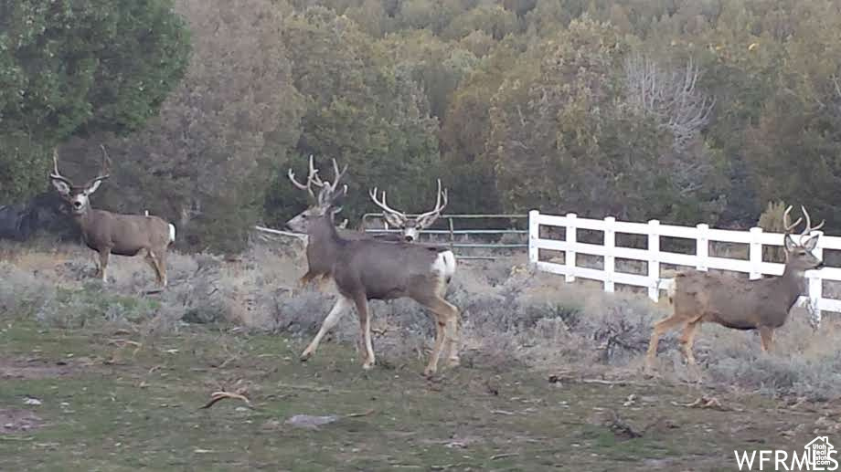 HI COUNTRY ESTATES II - Land