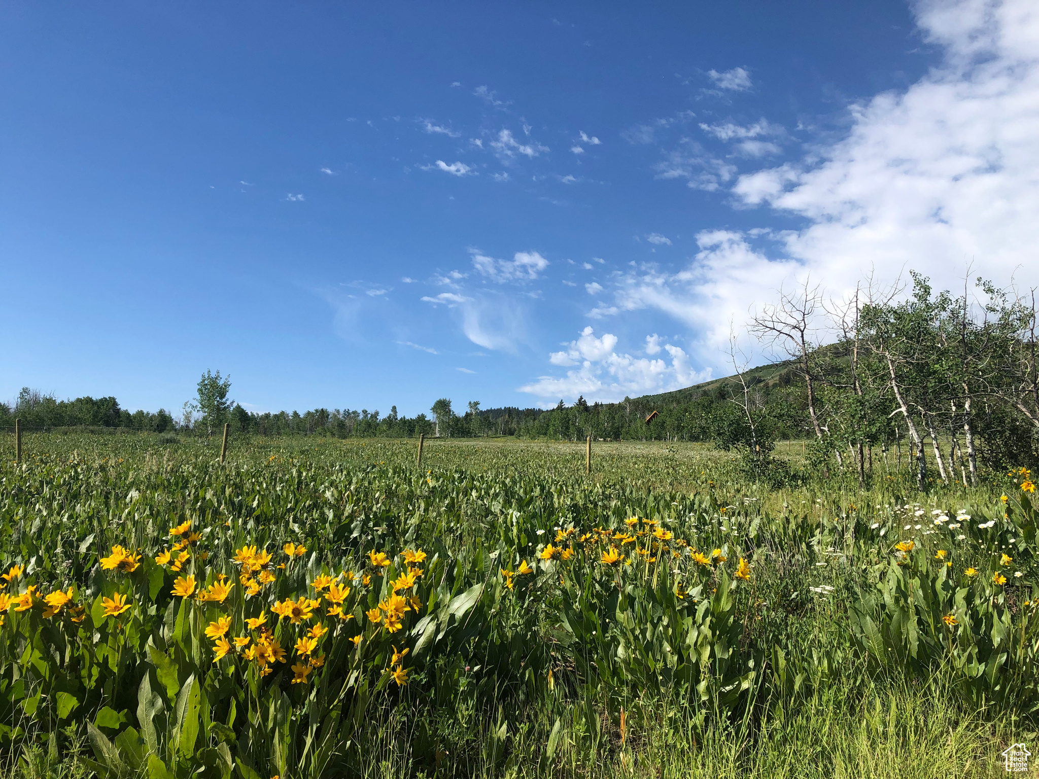 ROCKWELL RIDGE - Land