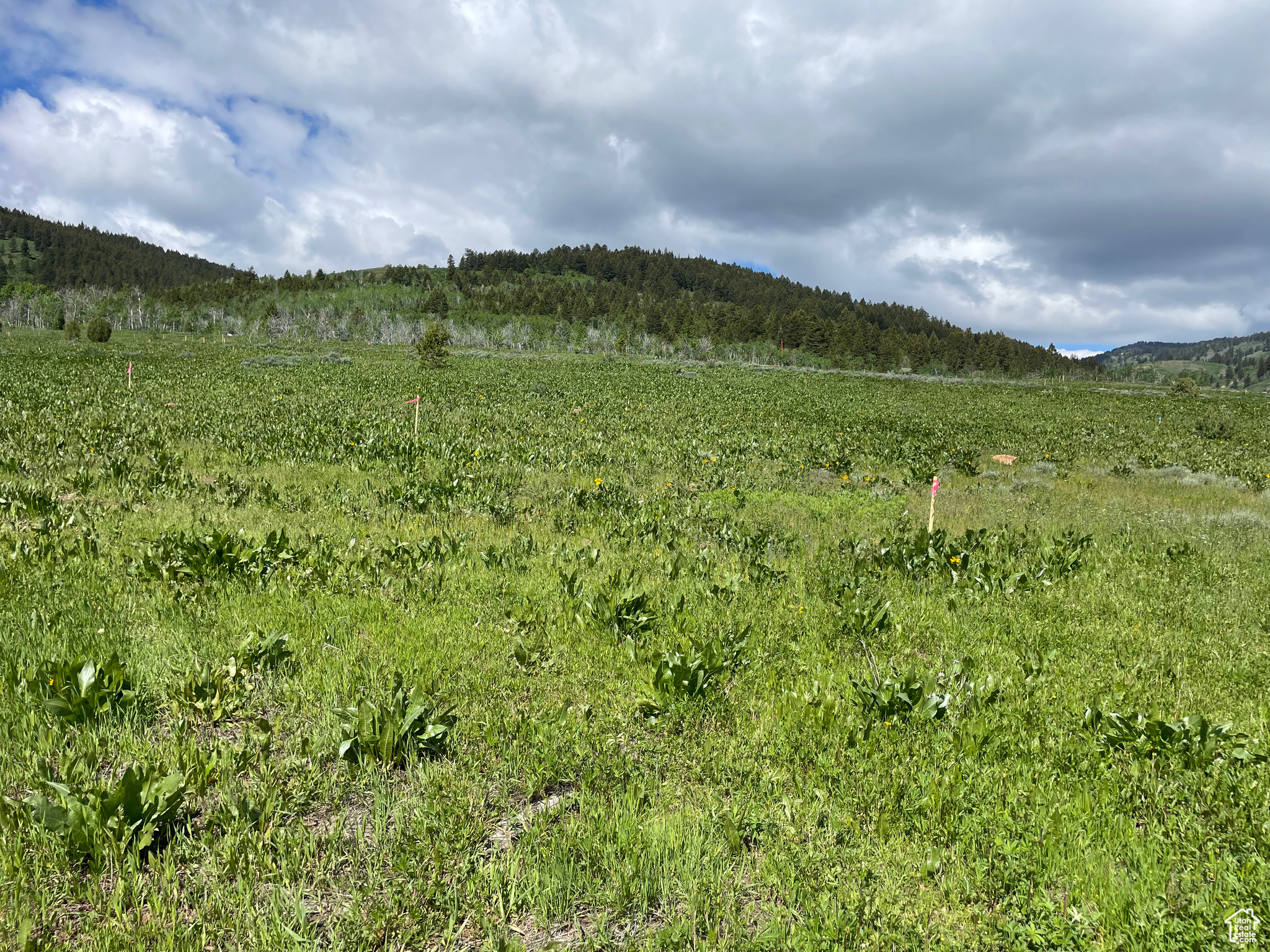 ROCKWELL RIDGE - Land