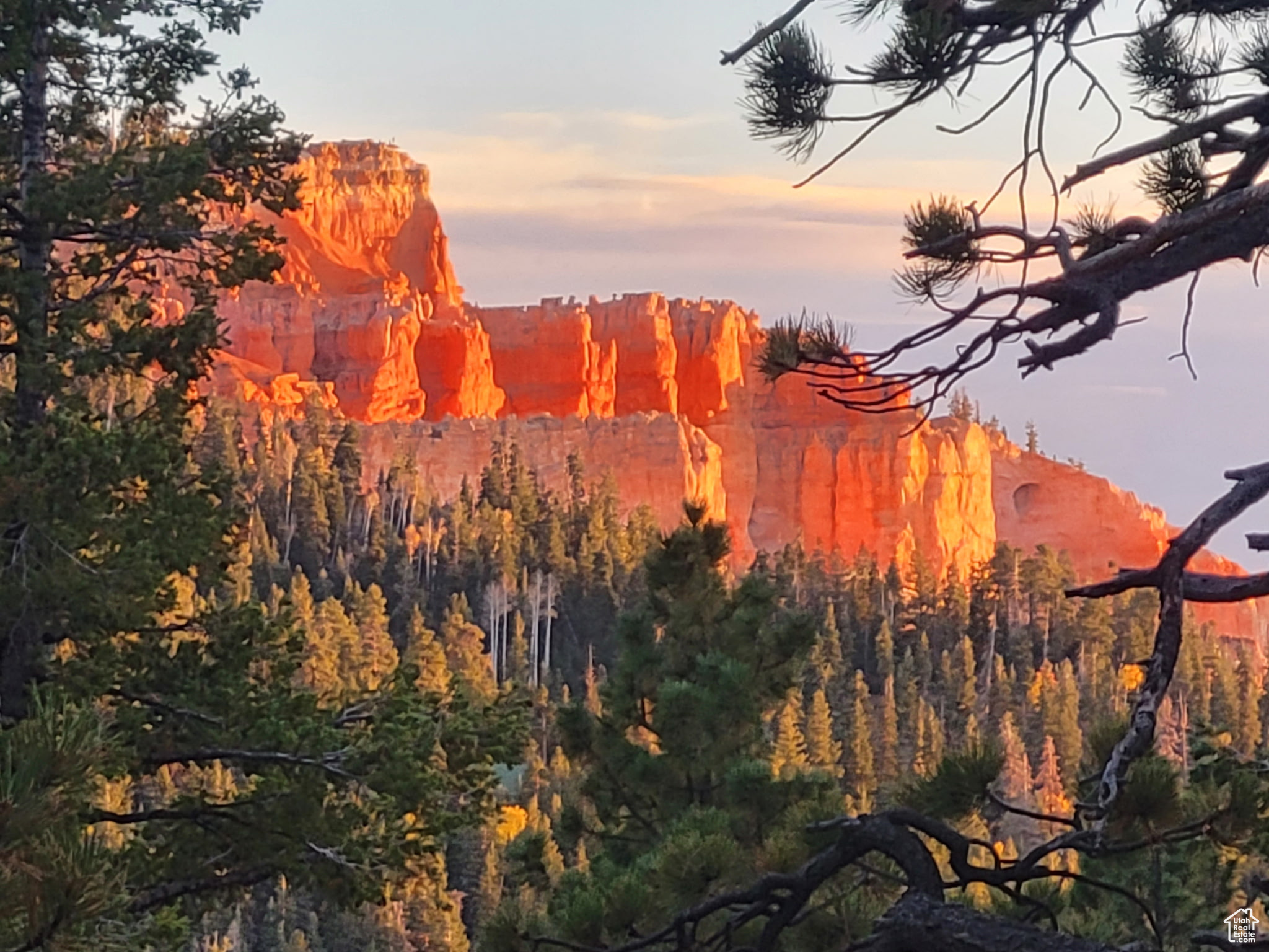 ZION VIEW MOUNTAIN ESTATES - Land