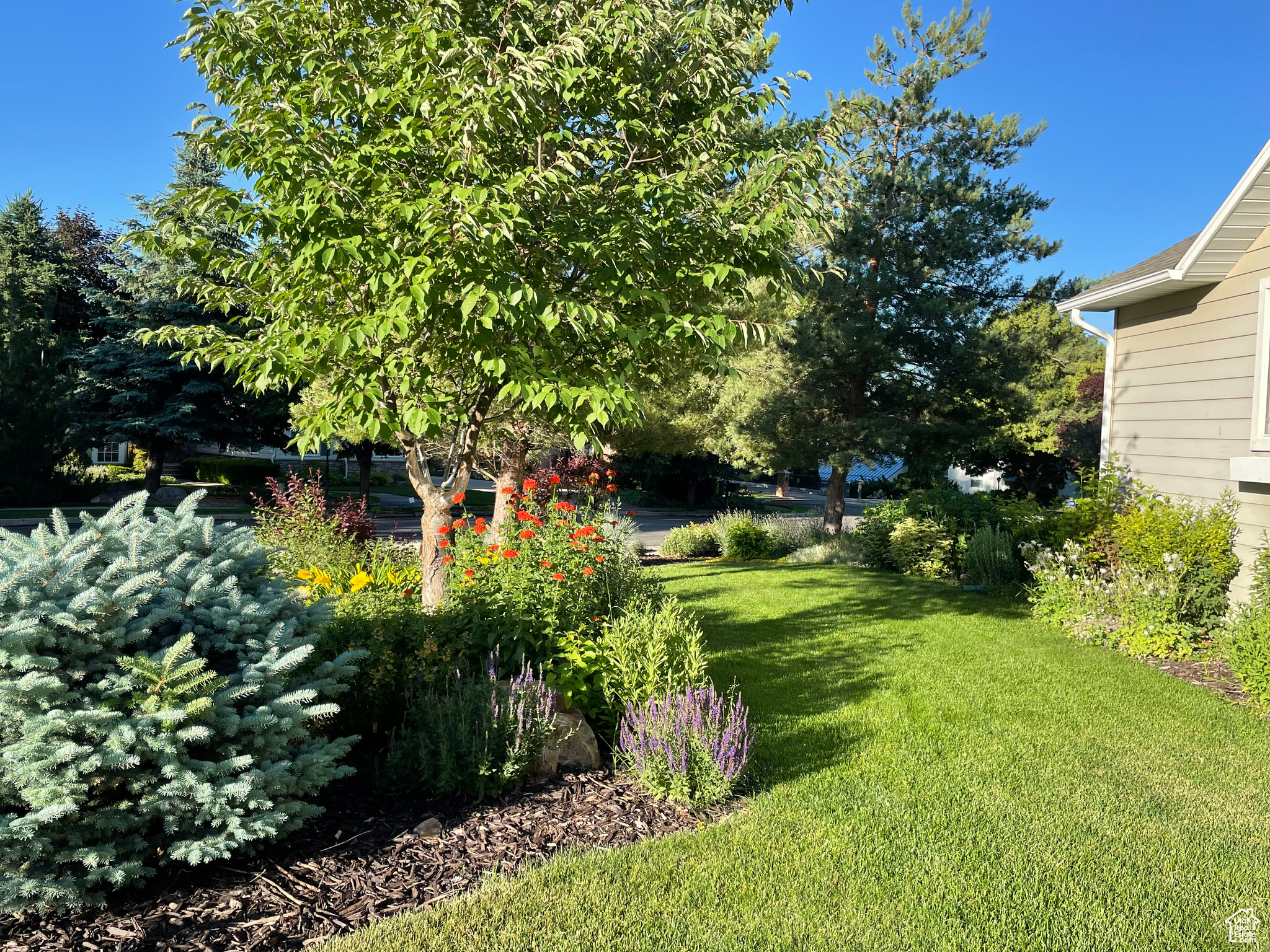 ORCHARD HEIGHTS - Residential