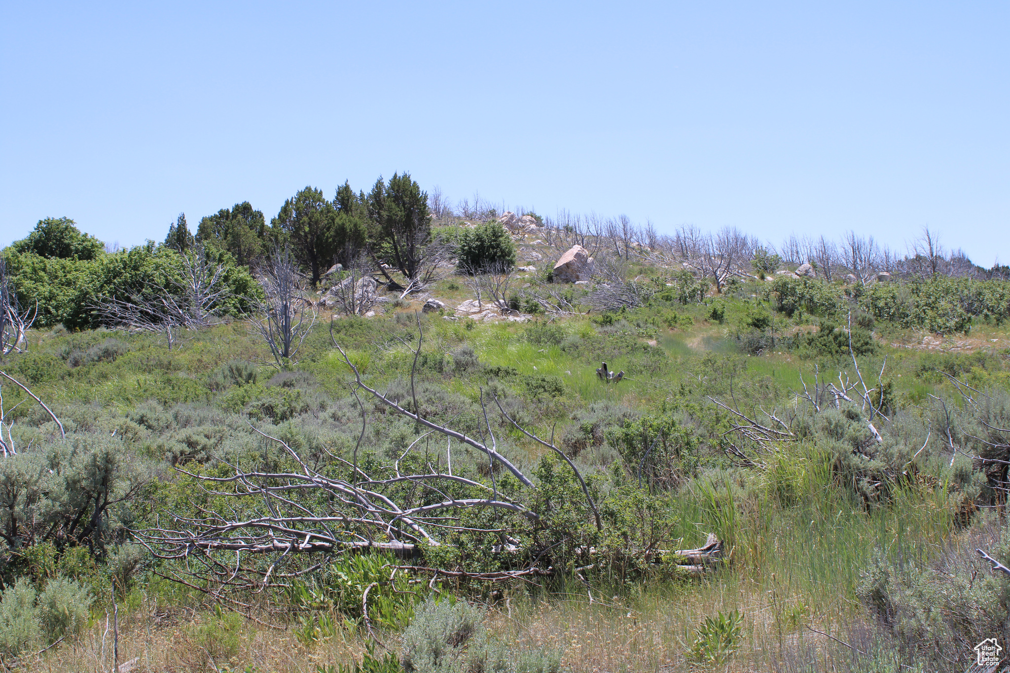 Land, McCammon, Idaho image 12