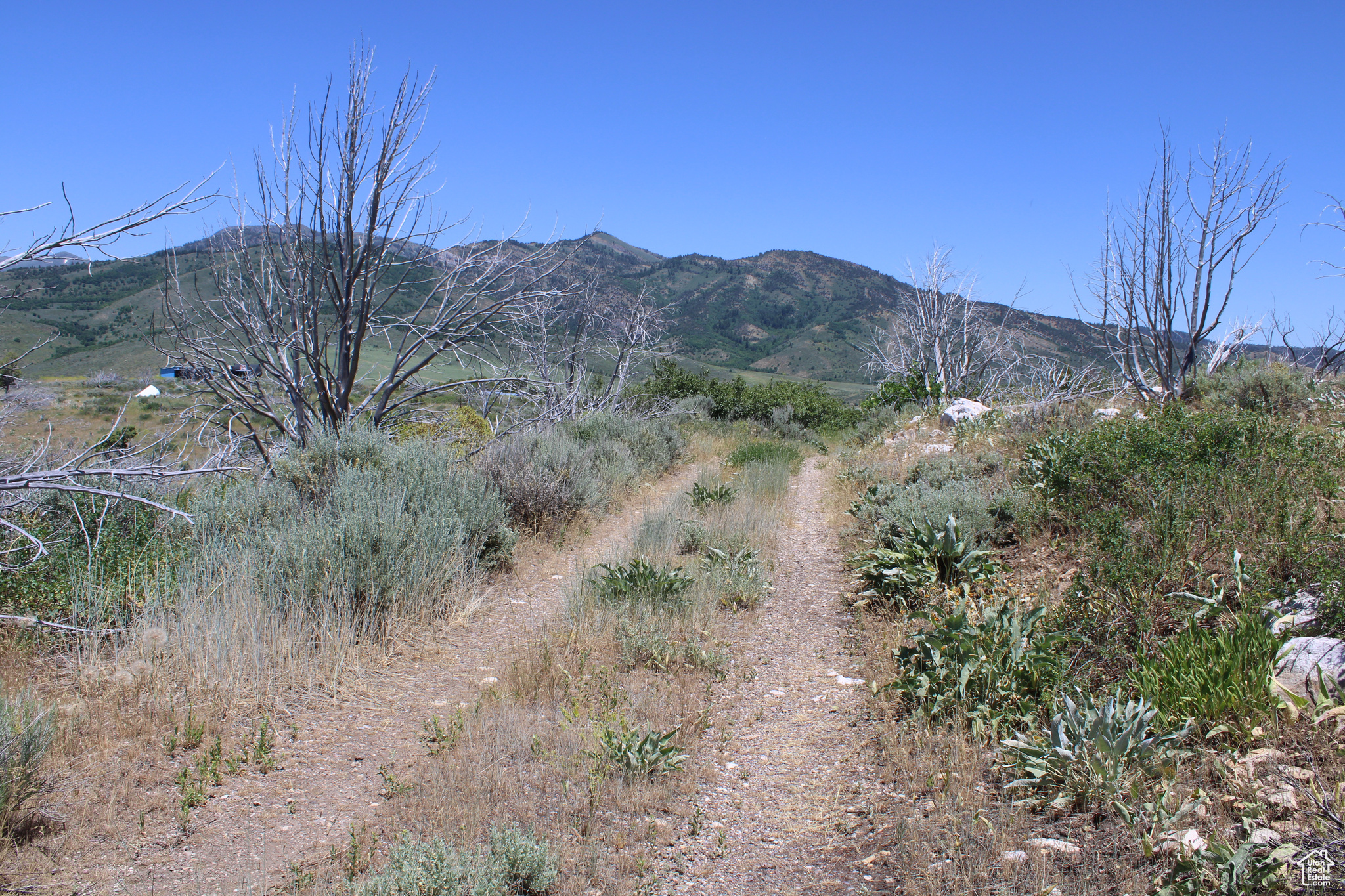 Land, McCammon, Idaho image 7