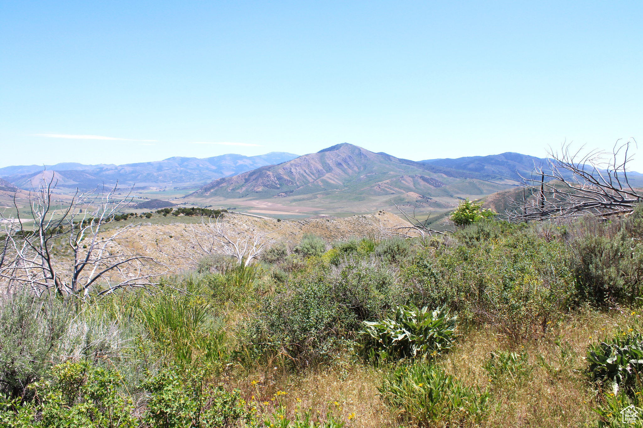 Land, McCammon, Idaho image 14