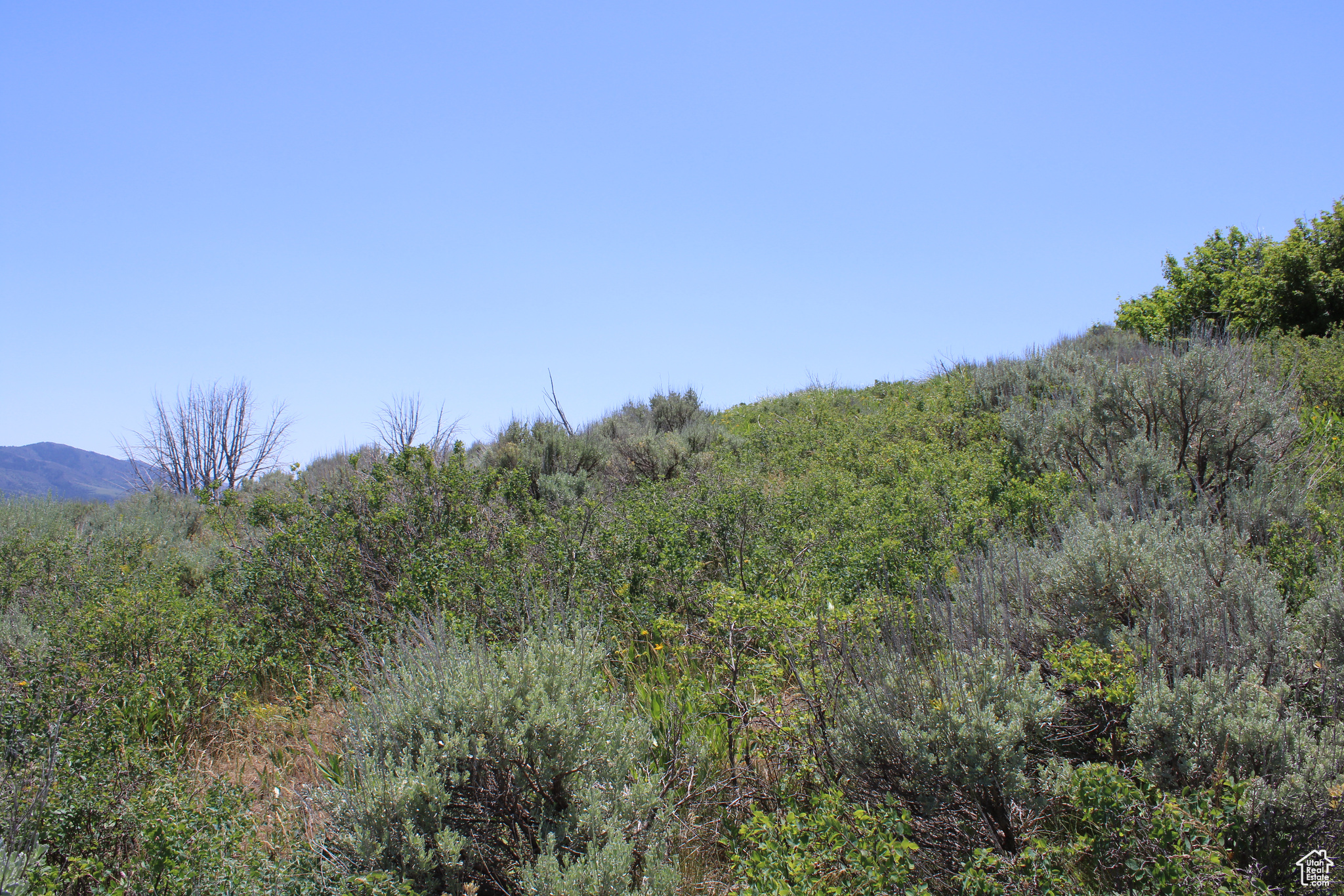 Land, McCammon, Idaho image 38