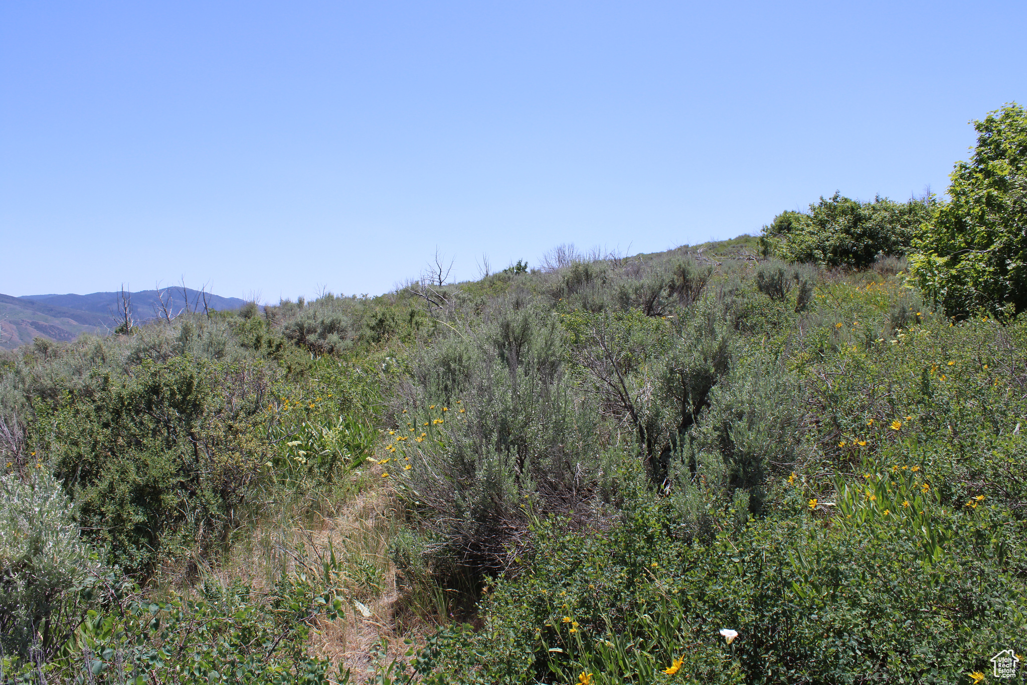 Land, McCammon, Idaho image 9
