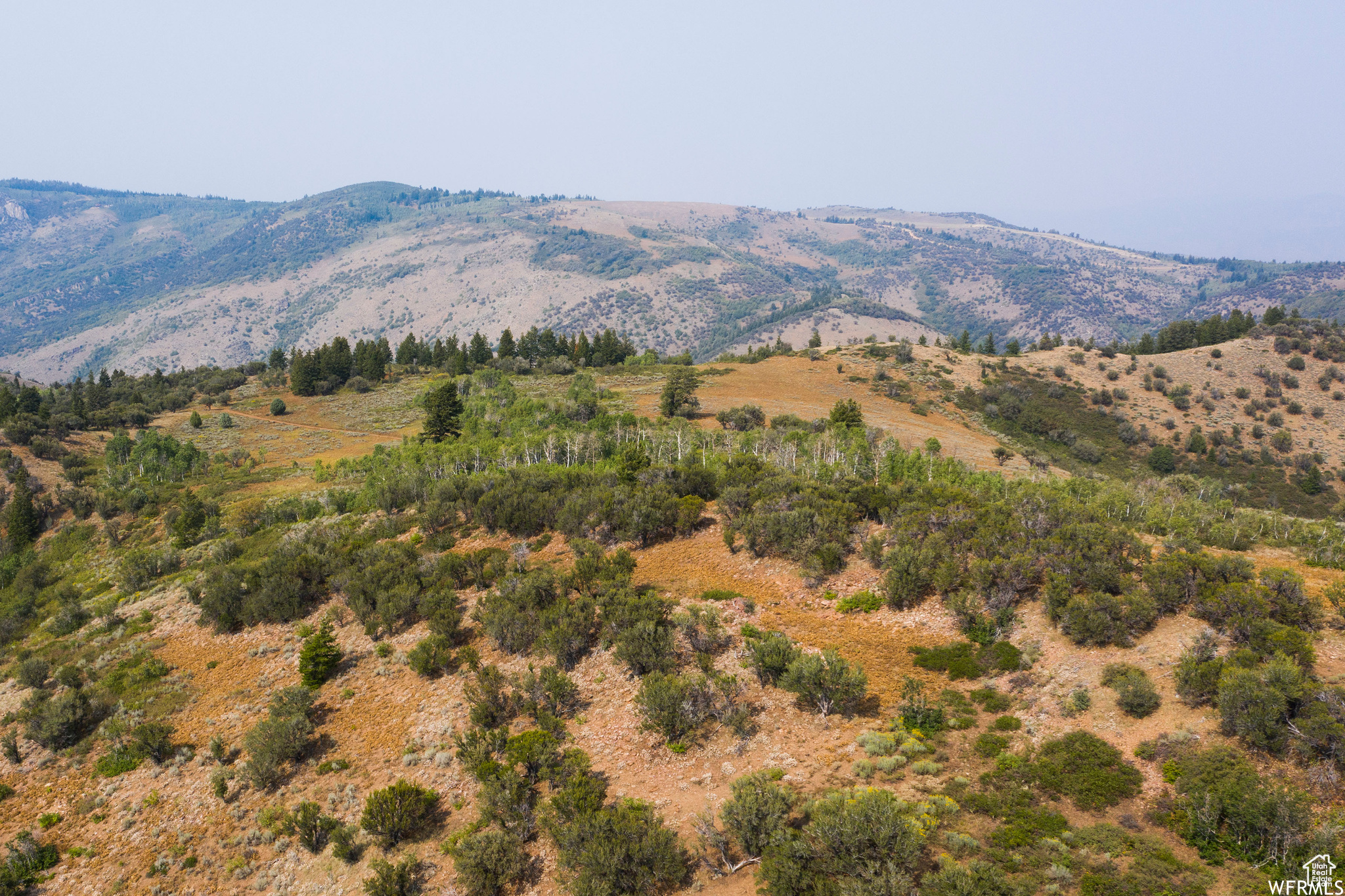 MINERAL POINT - Land