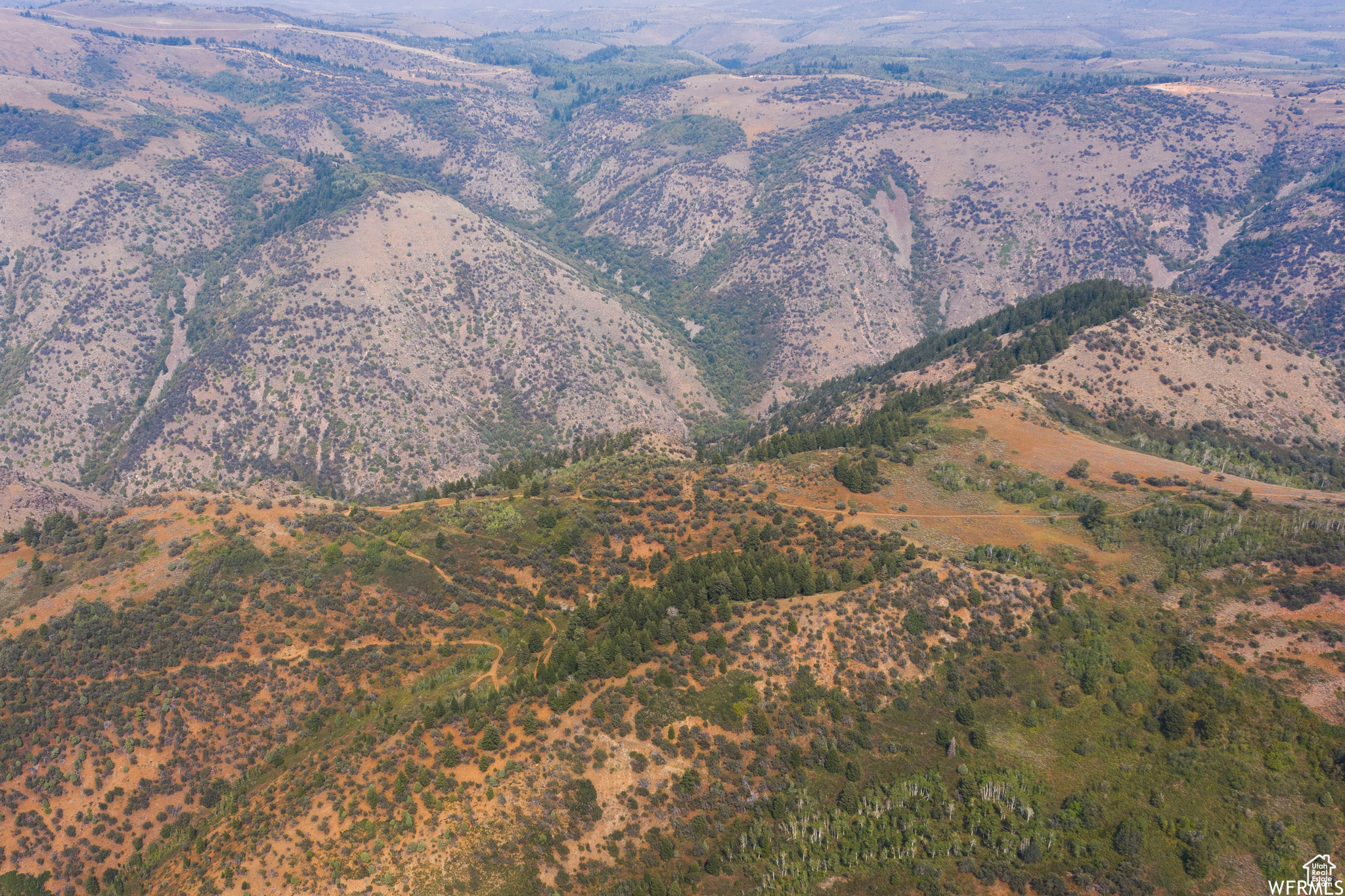 MINERAL POINT - Land