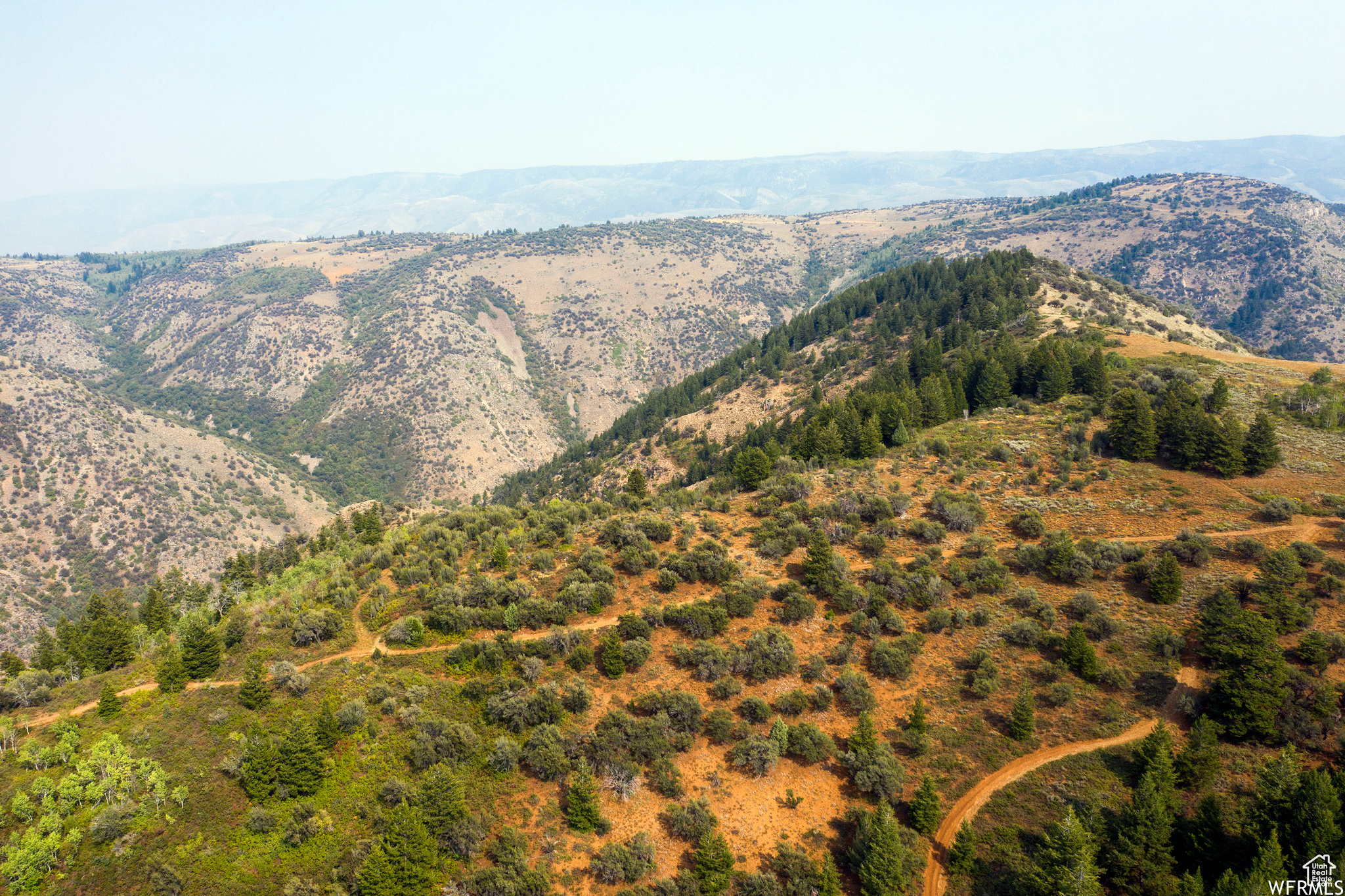 MINERAL POINT - Land