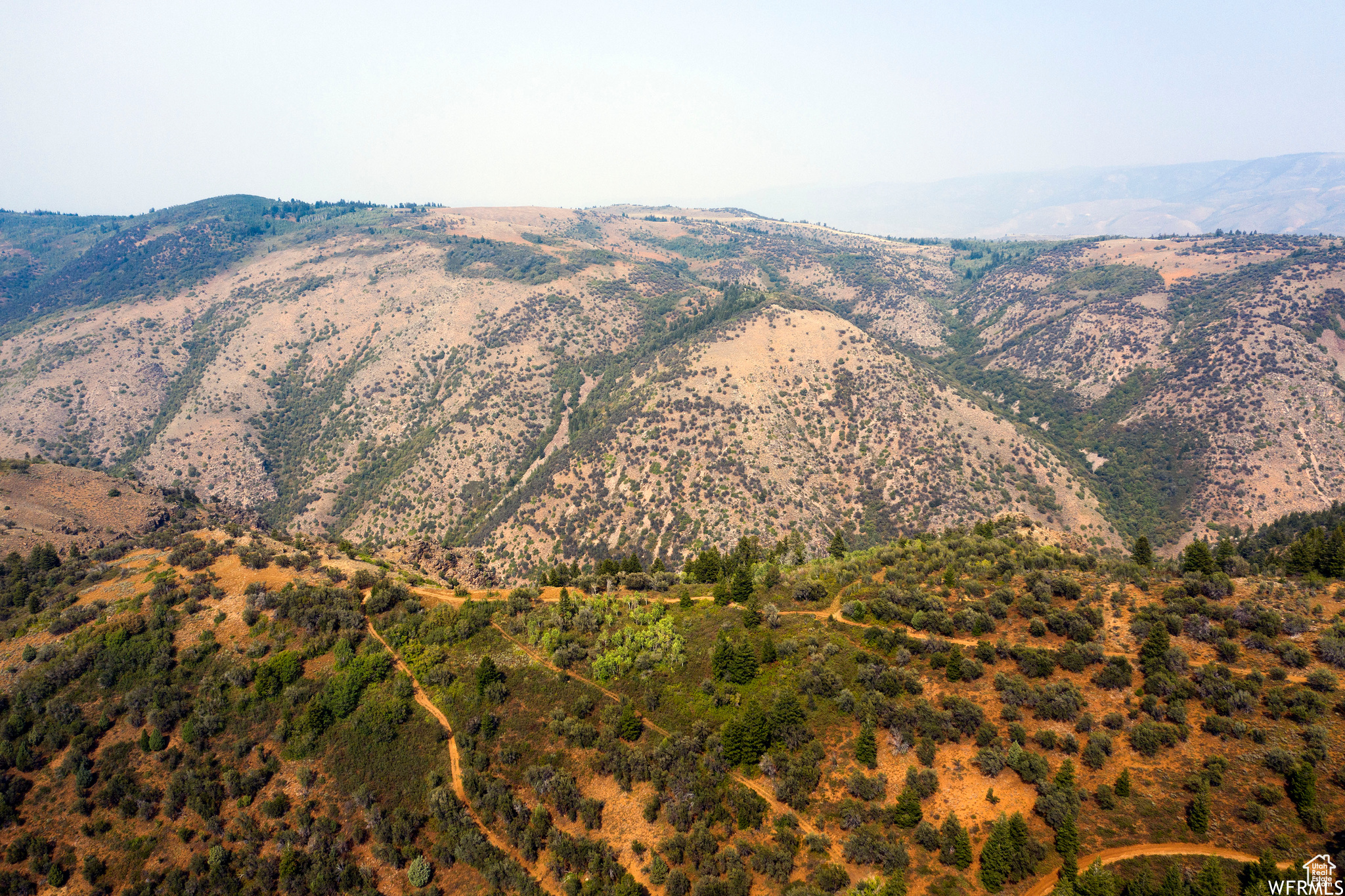 MINERAL POINT - Land