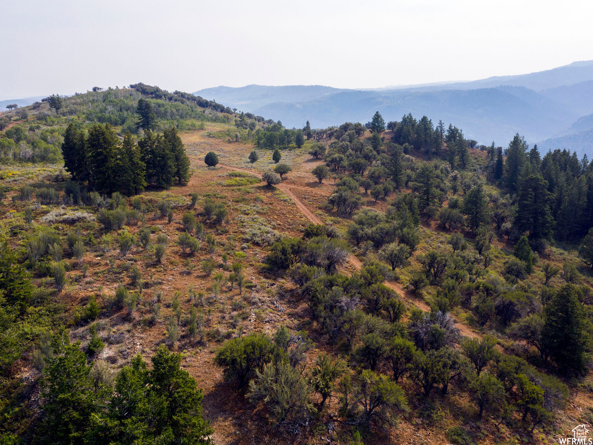 MINERAL POINT - Land