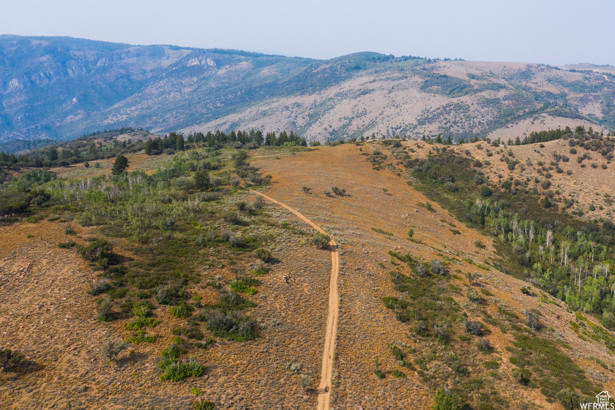 MINERAL POINT - Land