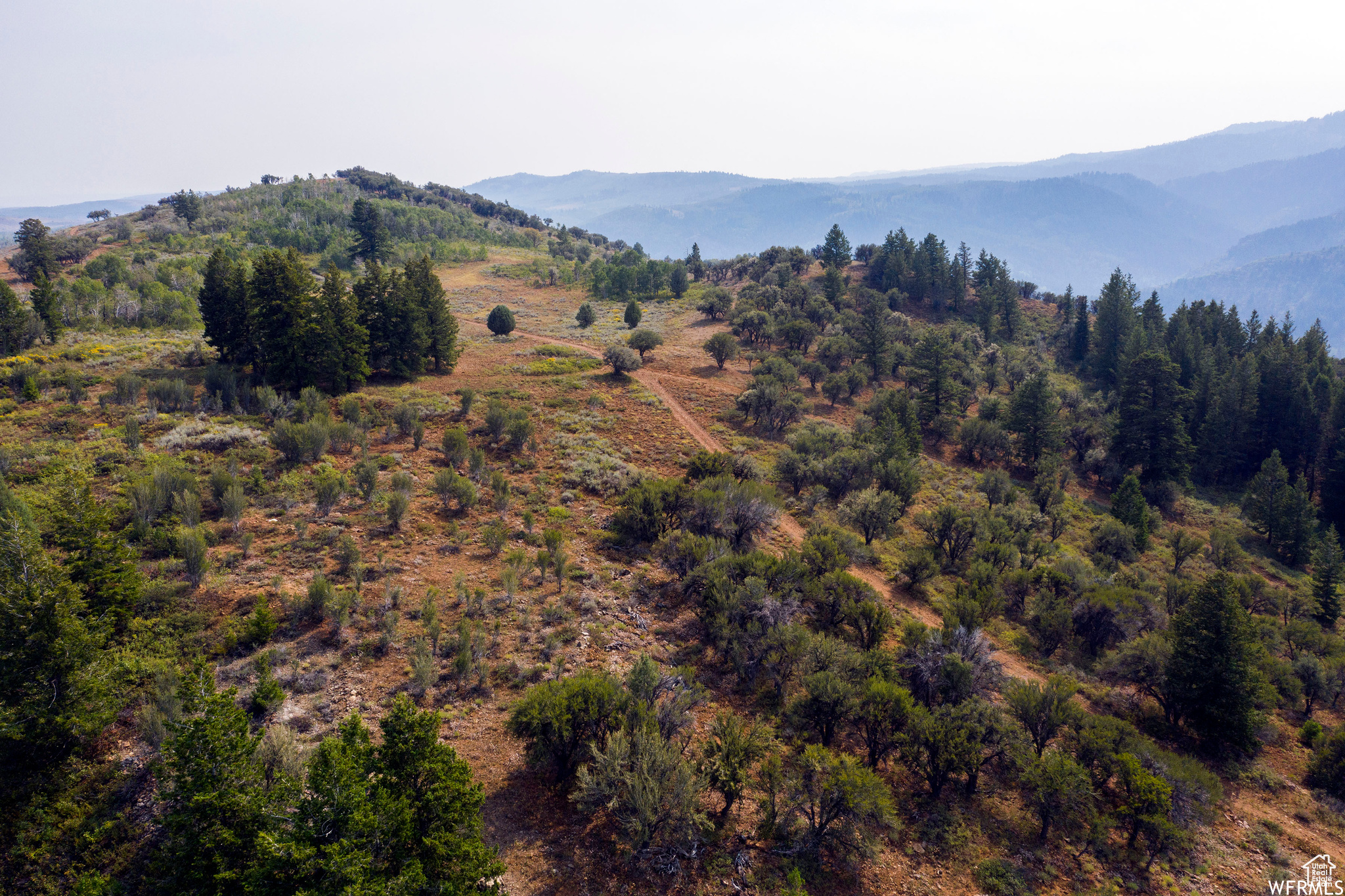 MINERAL POINT - Land
