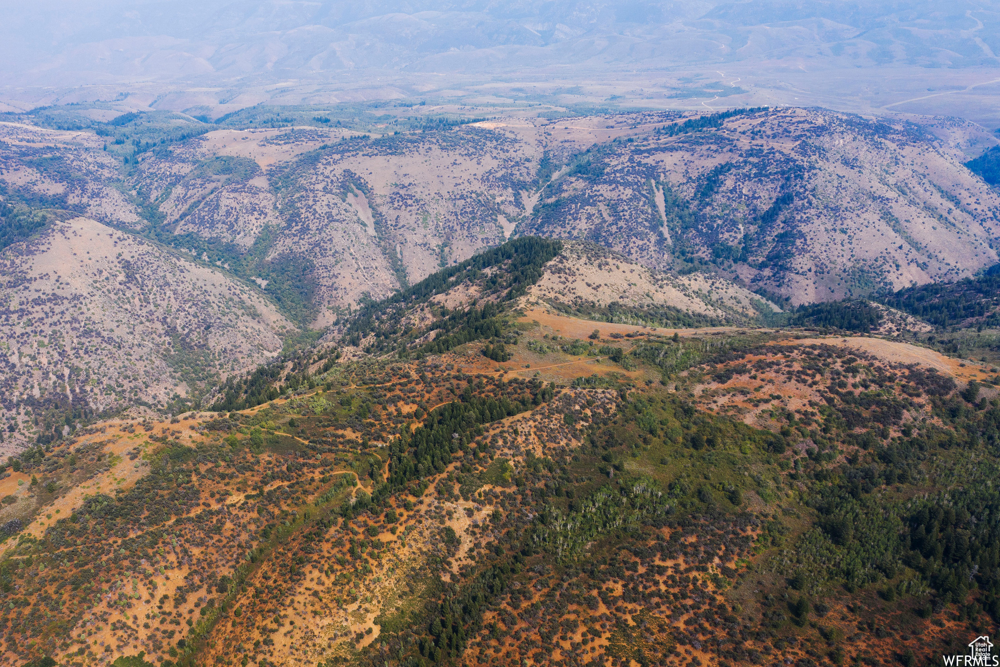MINERAL POINT - Land