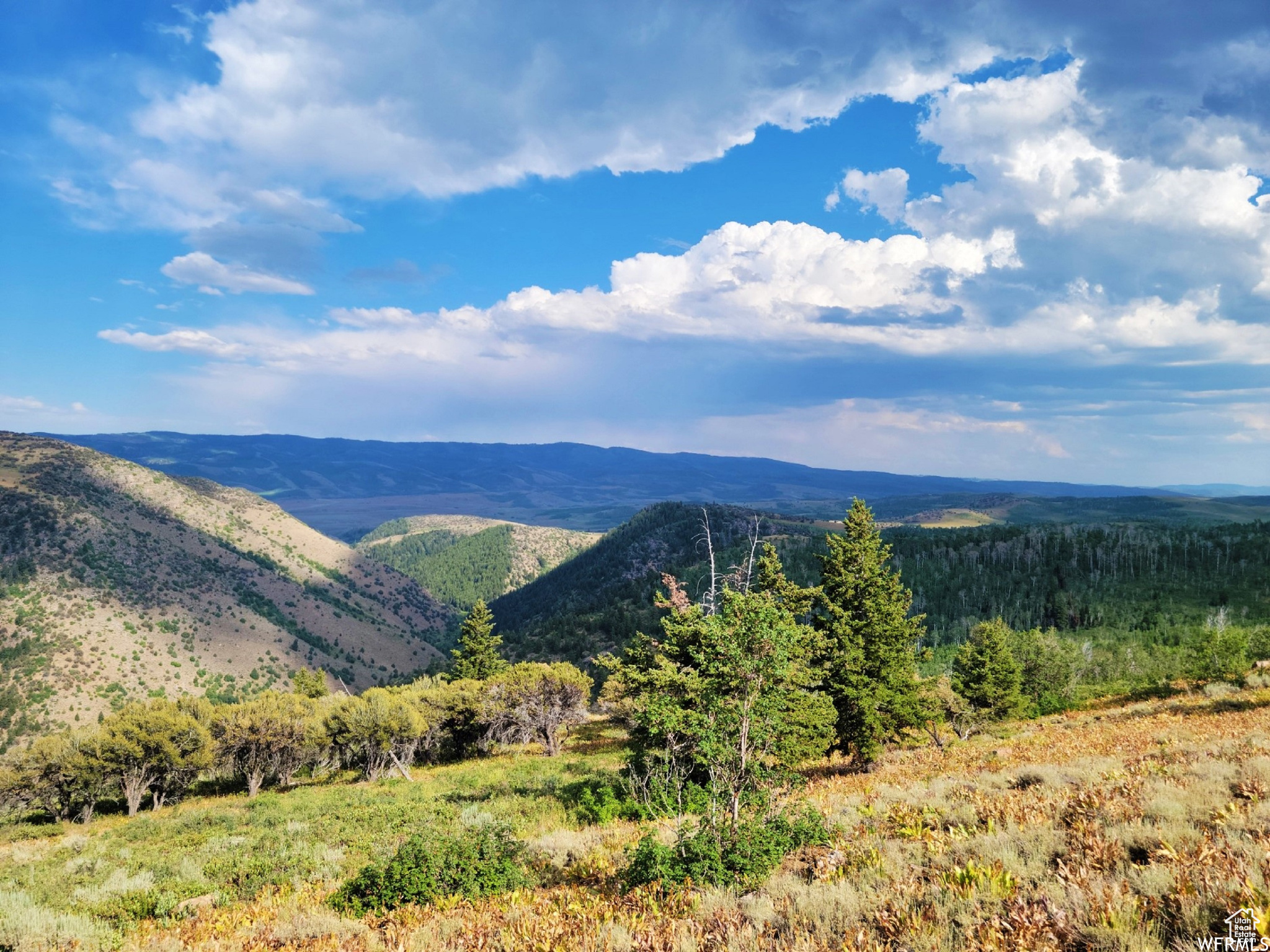 MINERAL POINT - Land