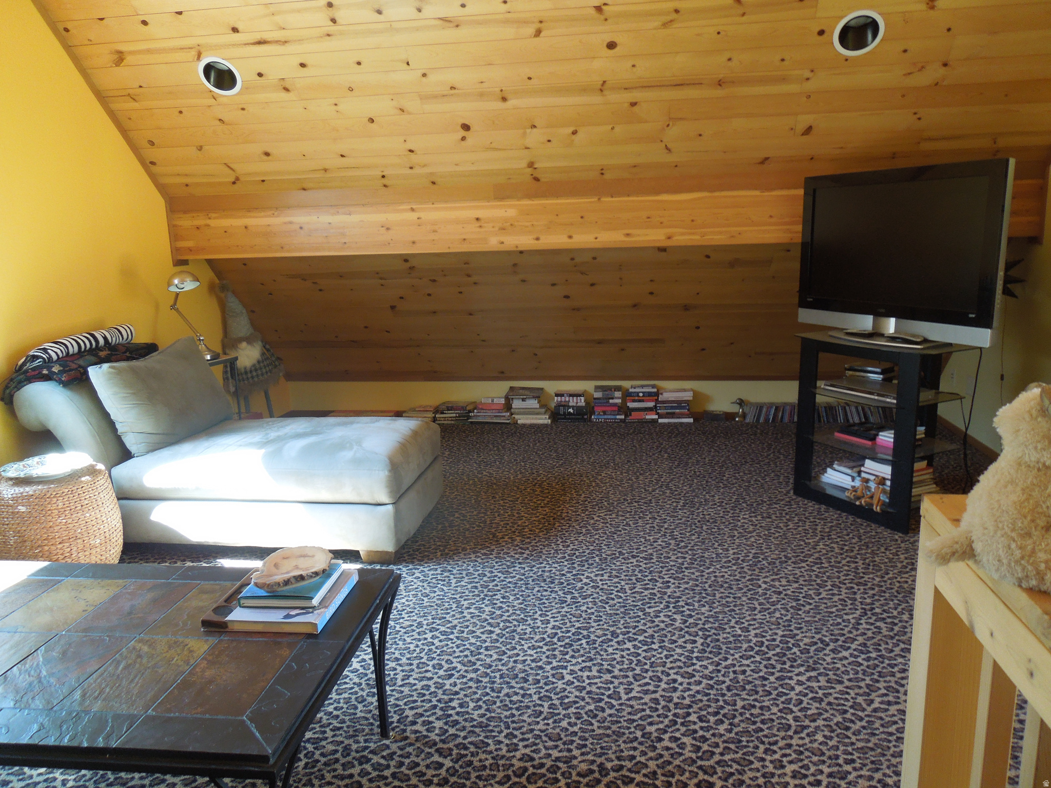 CASTLE VALLEY RIVER RANCHOS - Residential