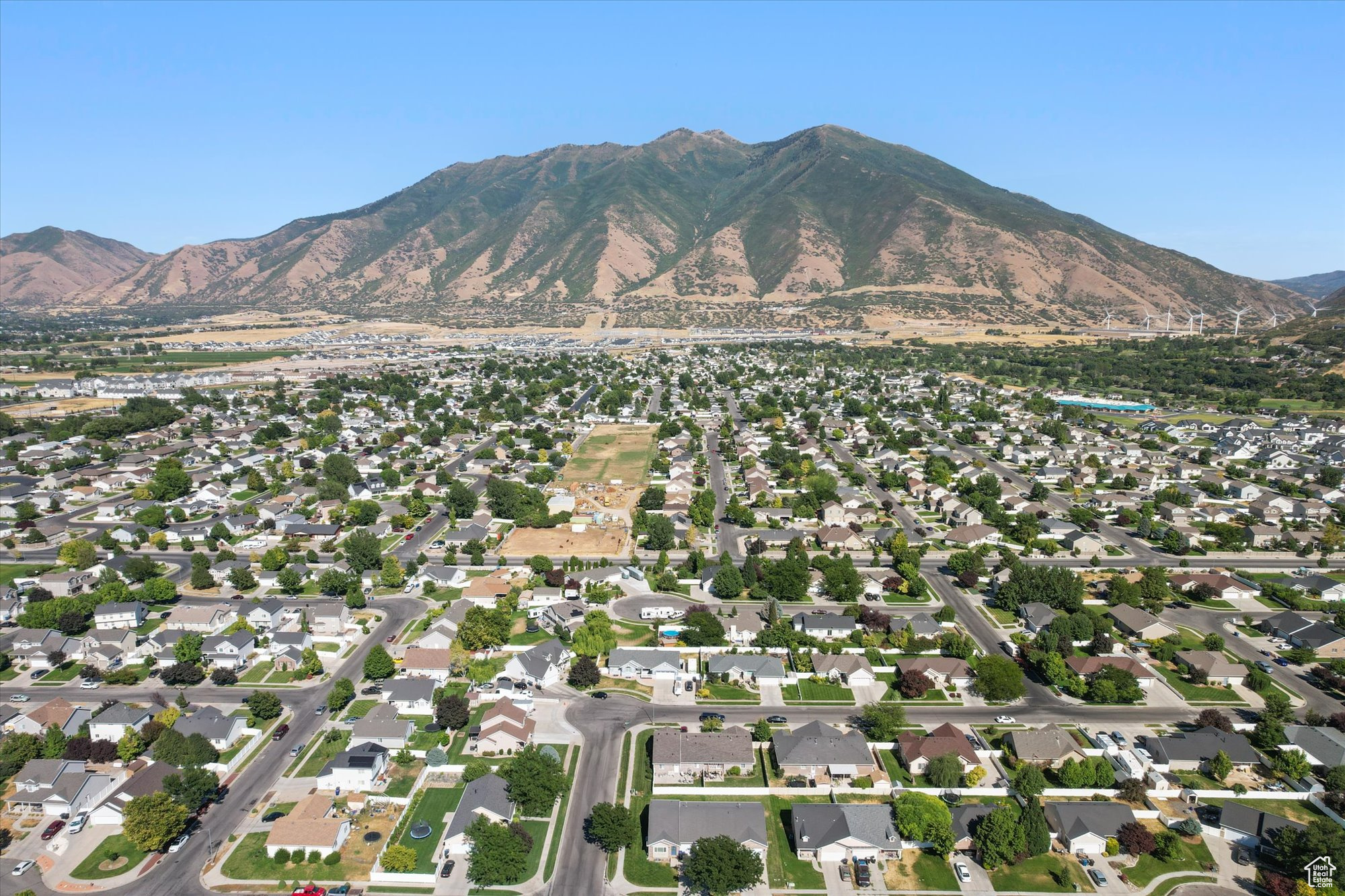 MAPLE MEADOWS - Residential Income