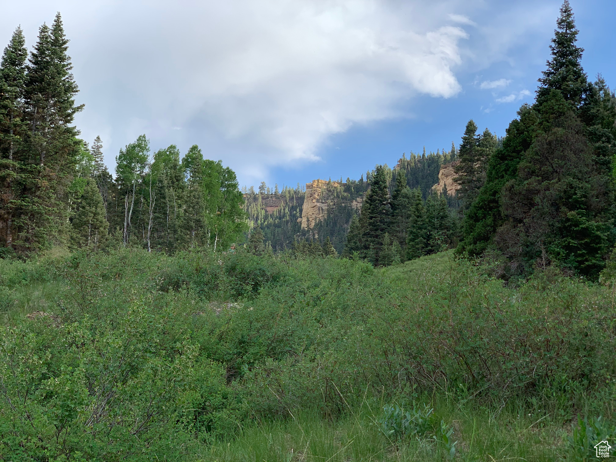 Land, Cedar City, Utah image 7