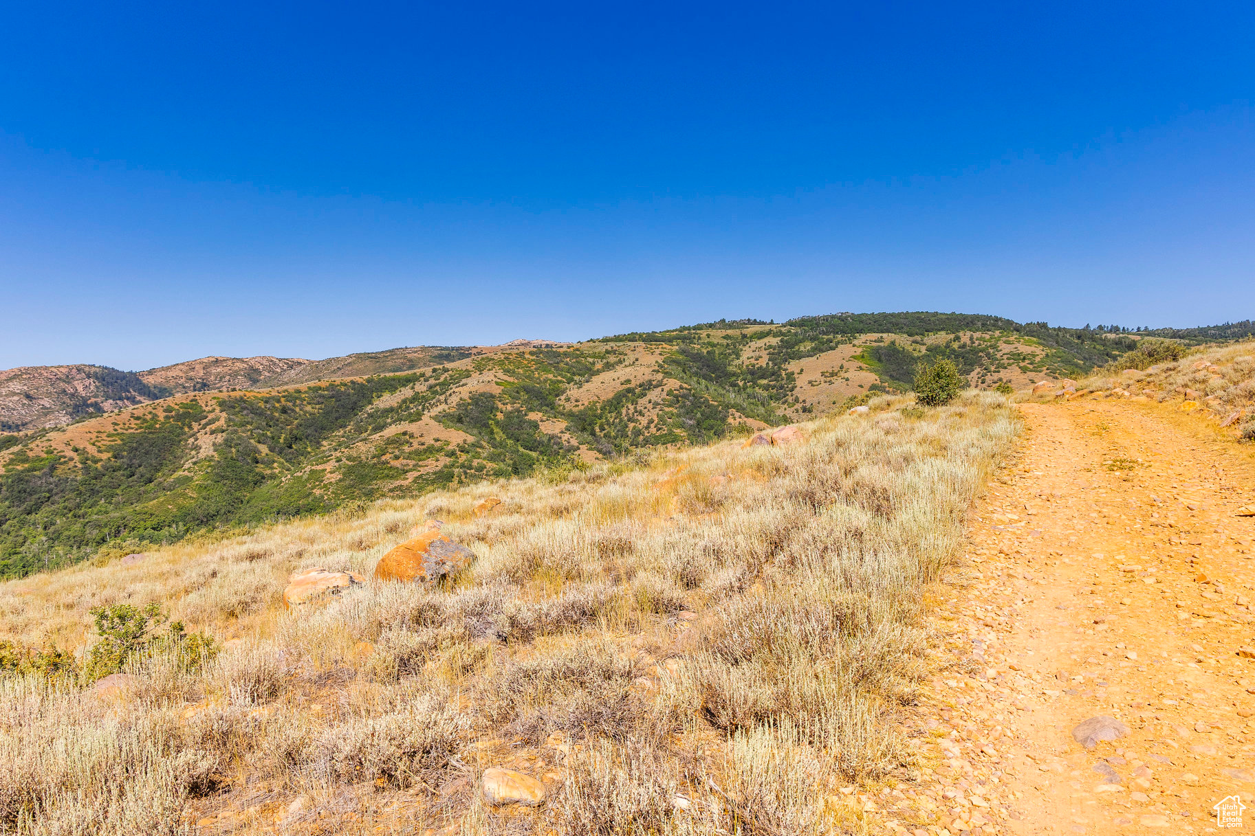 EVERGREEN PARK - Land