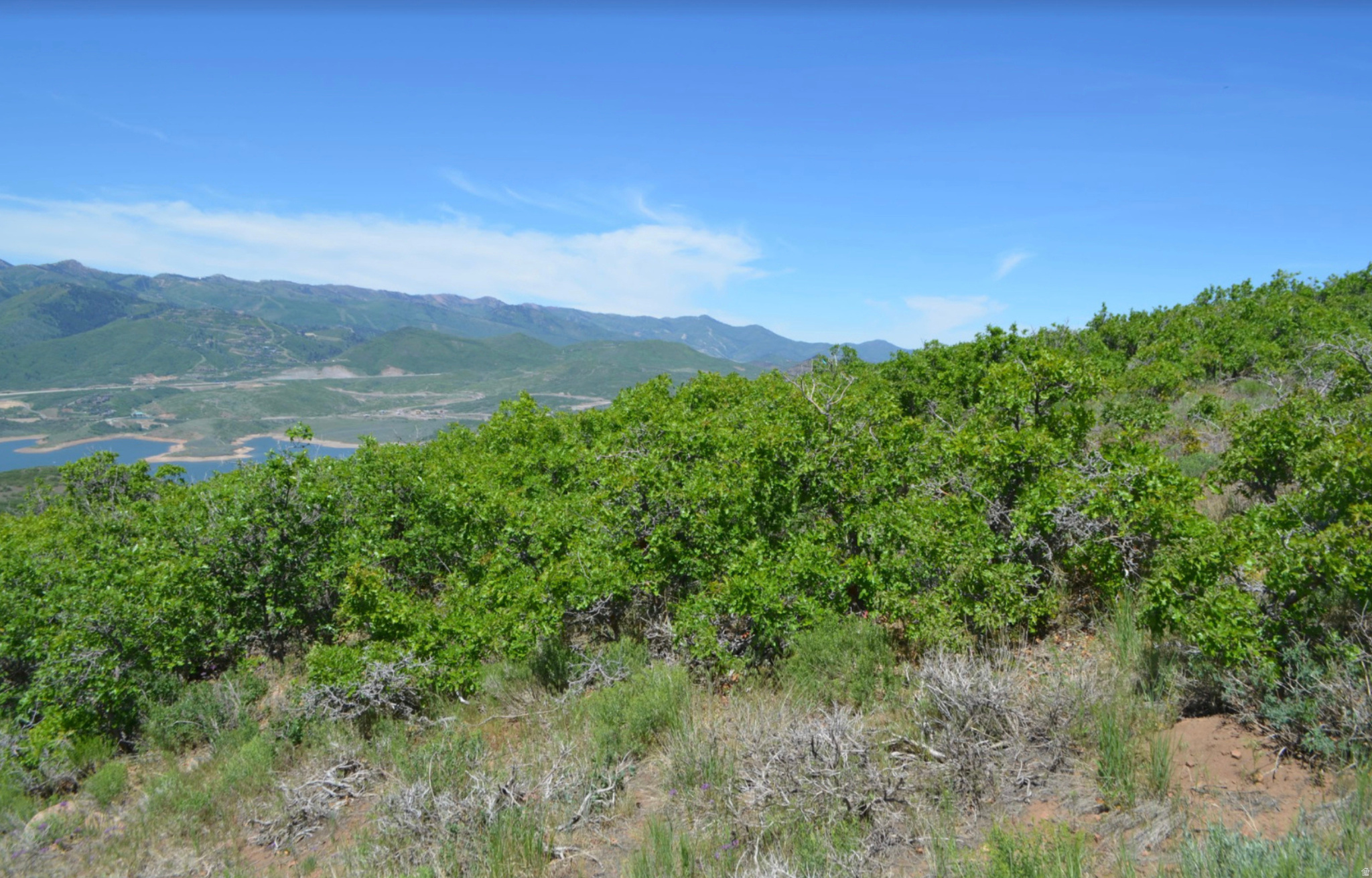 GOLDEN EAGLE SUBDIVI - Land