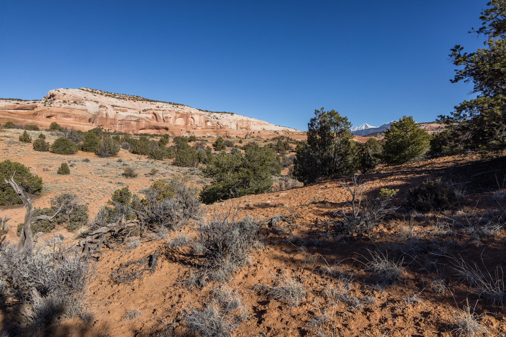 WILSON ARCH RESORT - Land