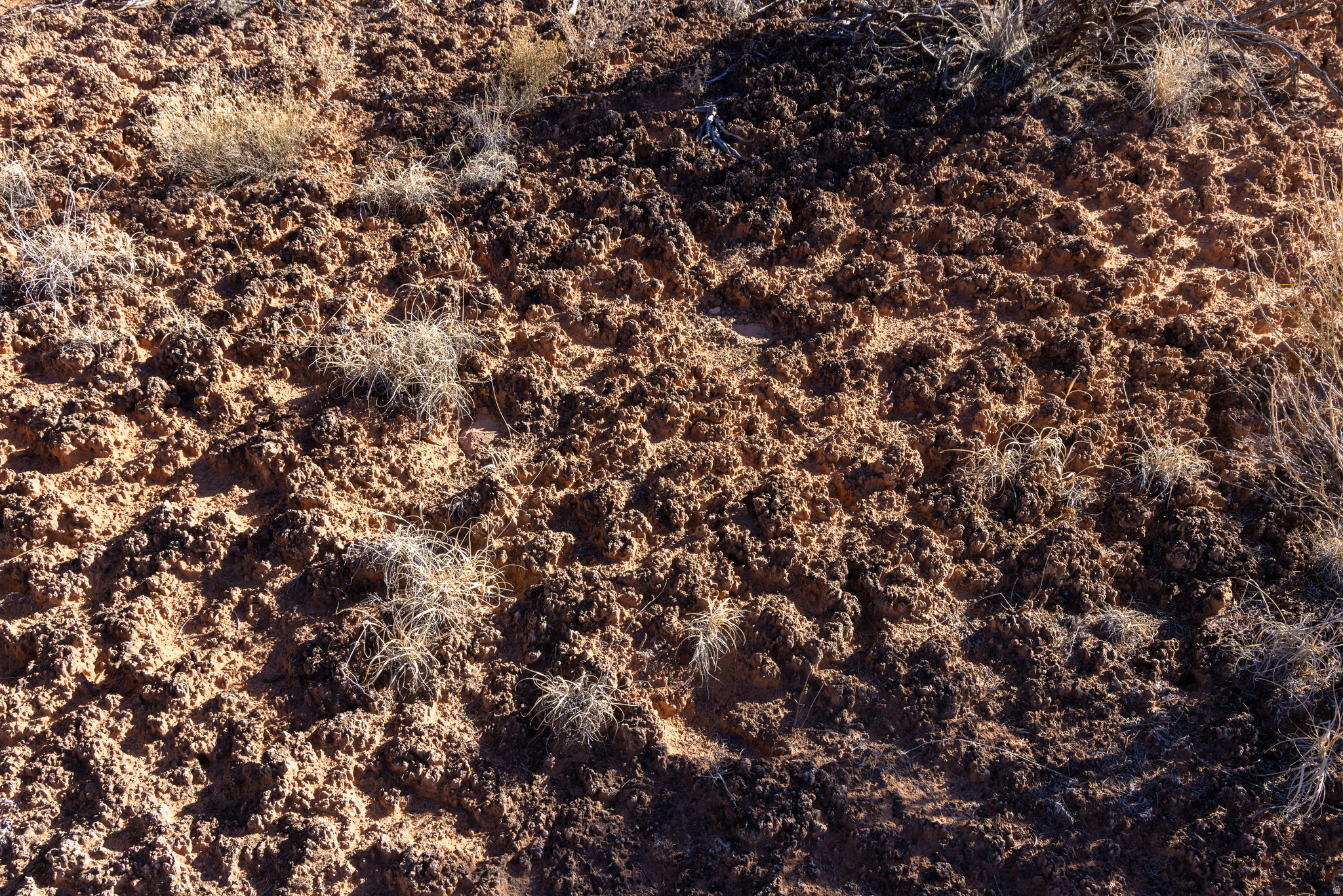 WILSON ARCH RESORT - Land