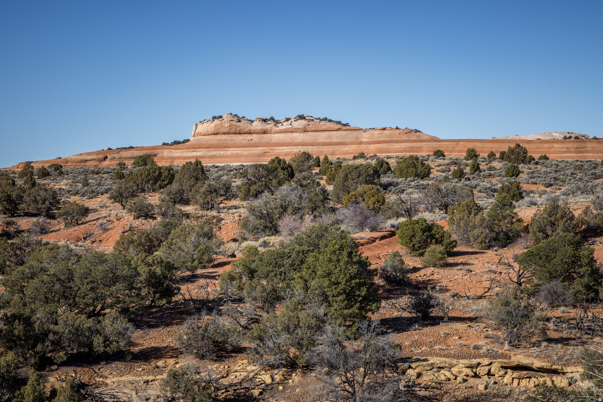 WILSON ARCH RESORT - Land