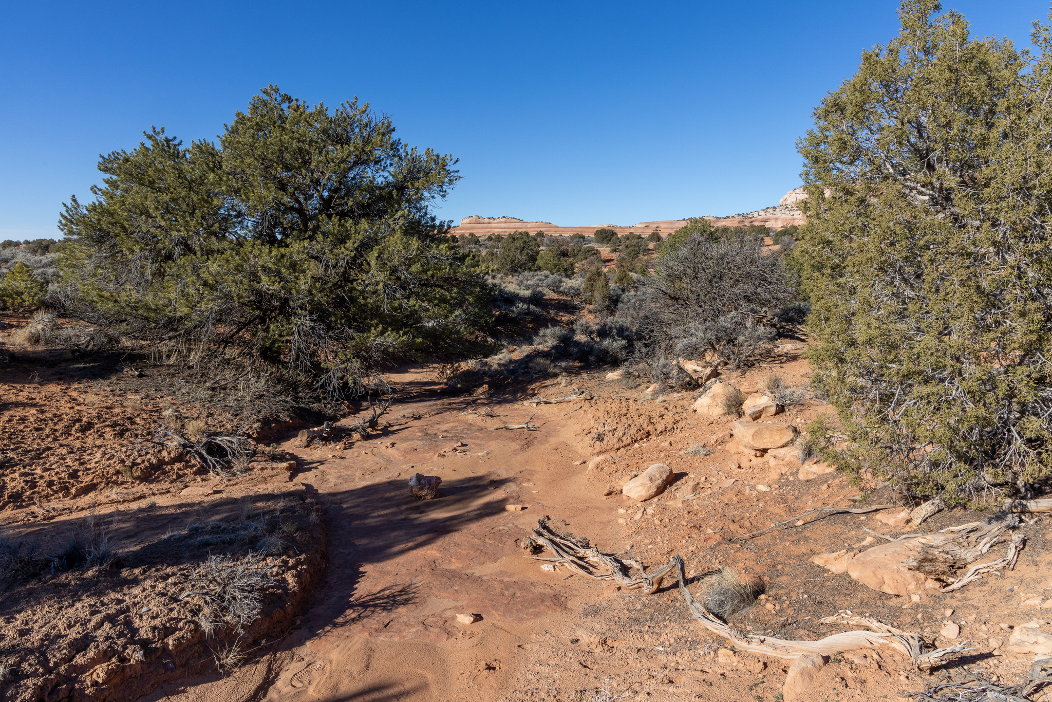 WILSON ARCH RESORT - Land