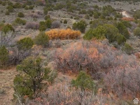 Tiny photo for Indianola, UT 84629 (MLS # 2119419)