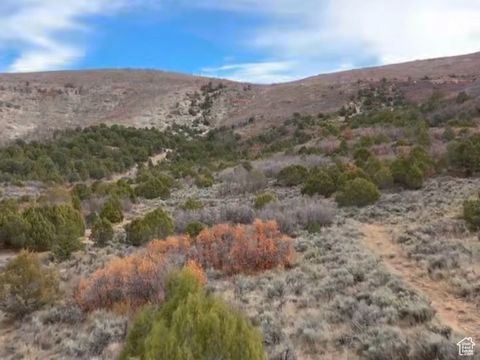 Tiny photo for Indianola, UT 84629 (MLS # 2119419)