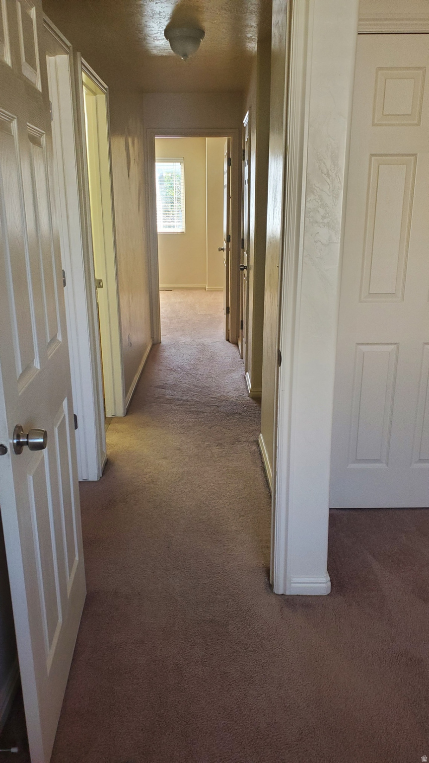 TAYLOR MOUNTAIN TOWNHOMES - Residential