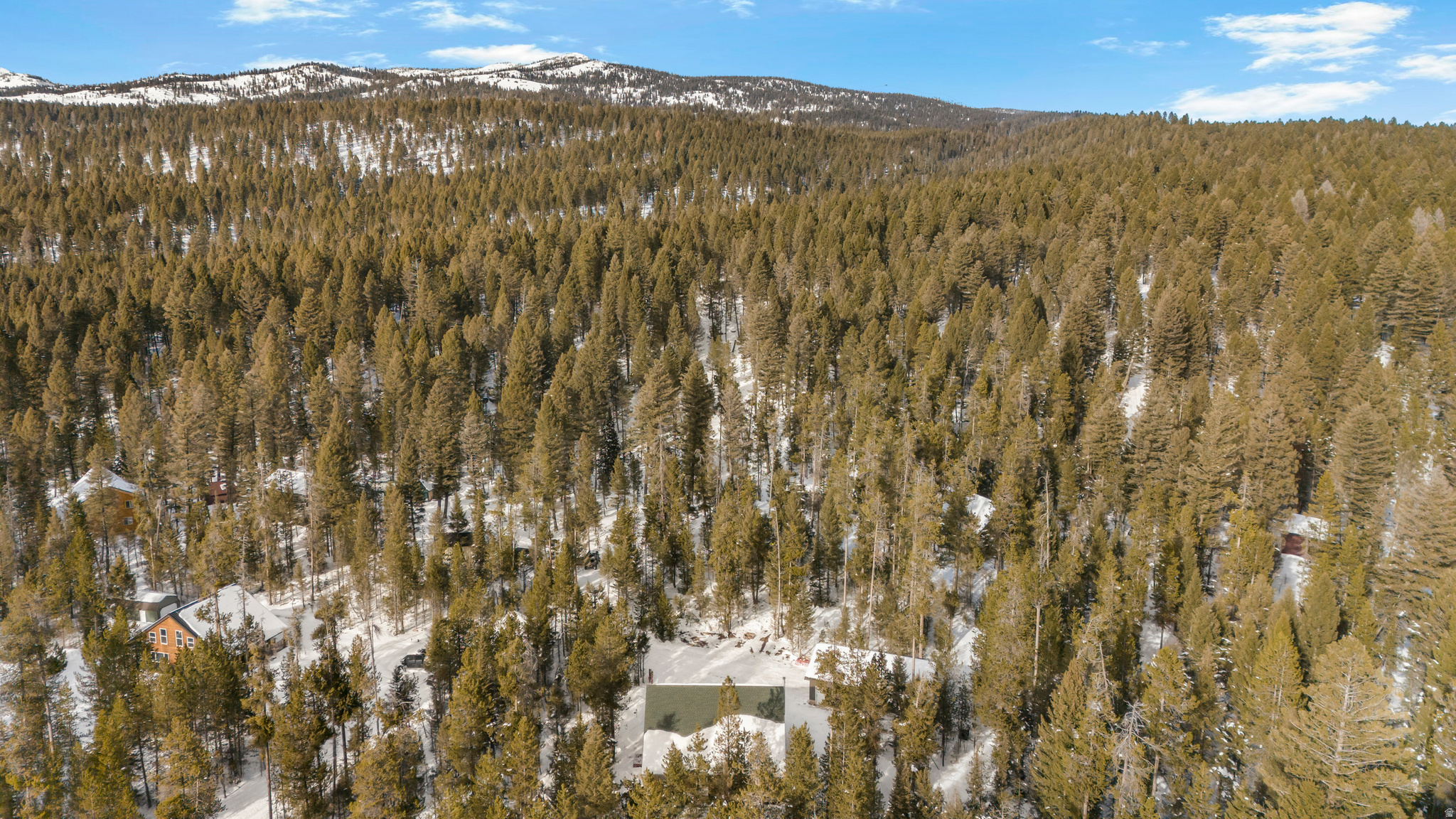 YALE CREEK CABIN SITES - Residential