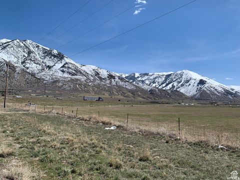 Photo of 300 N UT-54 1070 AVE, Mona, UT 84645 (MLS # 2147341)