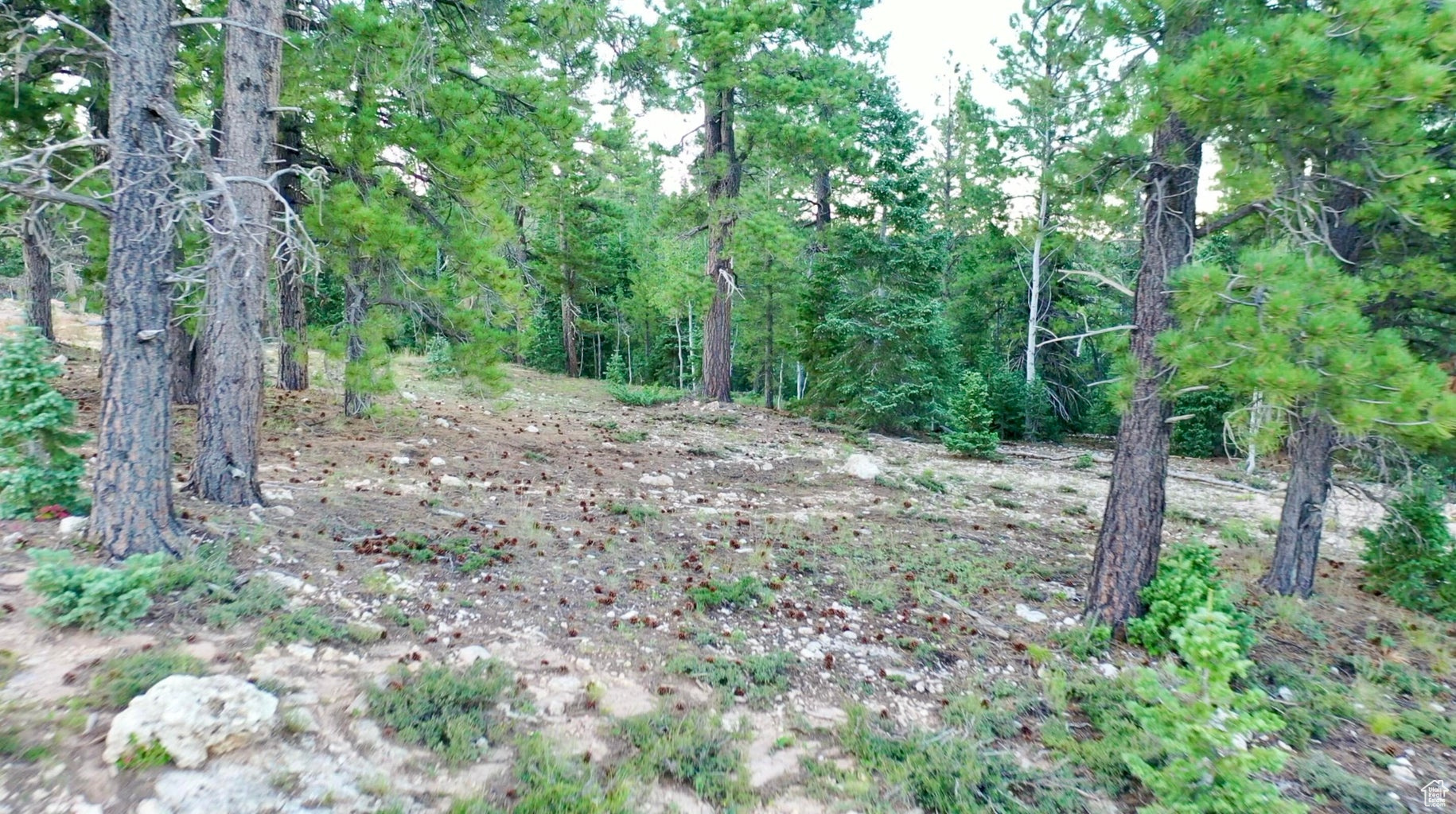 PONDEROSA VILLA - Land