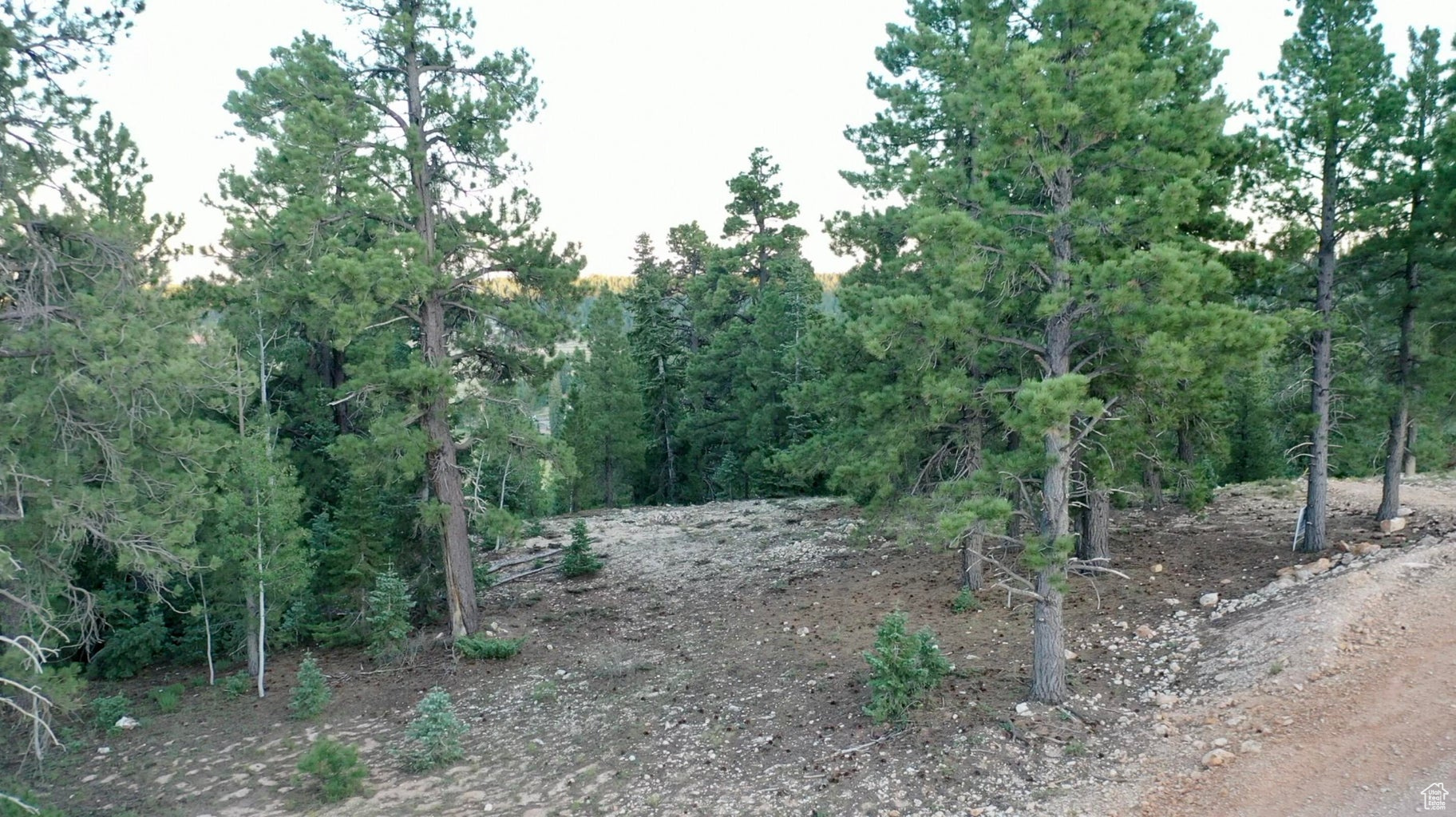 PONDEROSA VILLA - Land