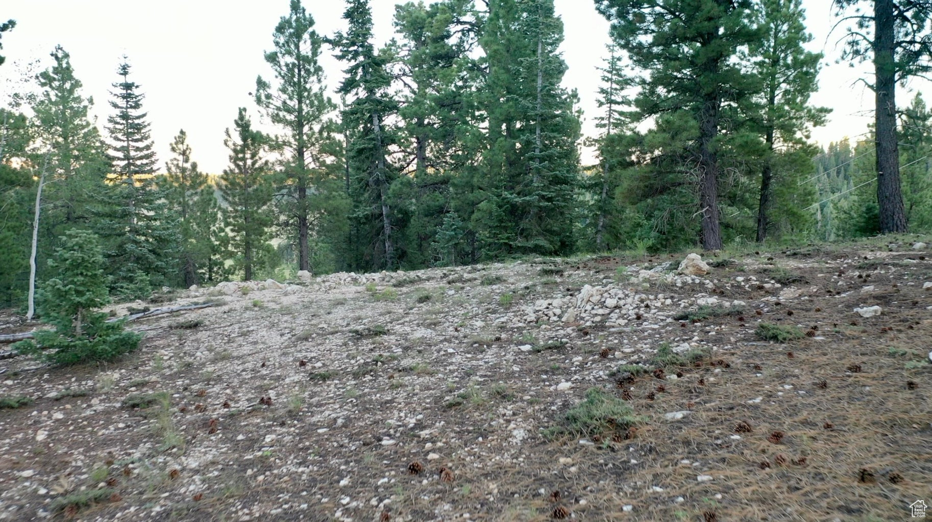 PONDEROSA VILLA - Land