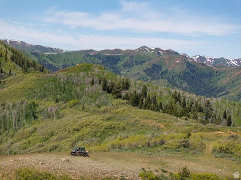 Tiny photo for 5155 E CANYON RD, Morgan, UT 84050 (MLS # 2095447)